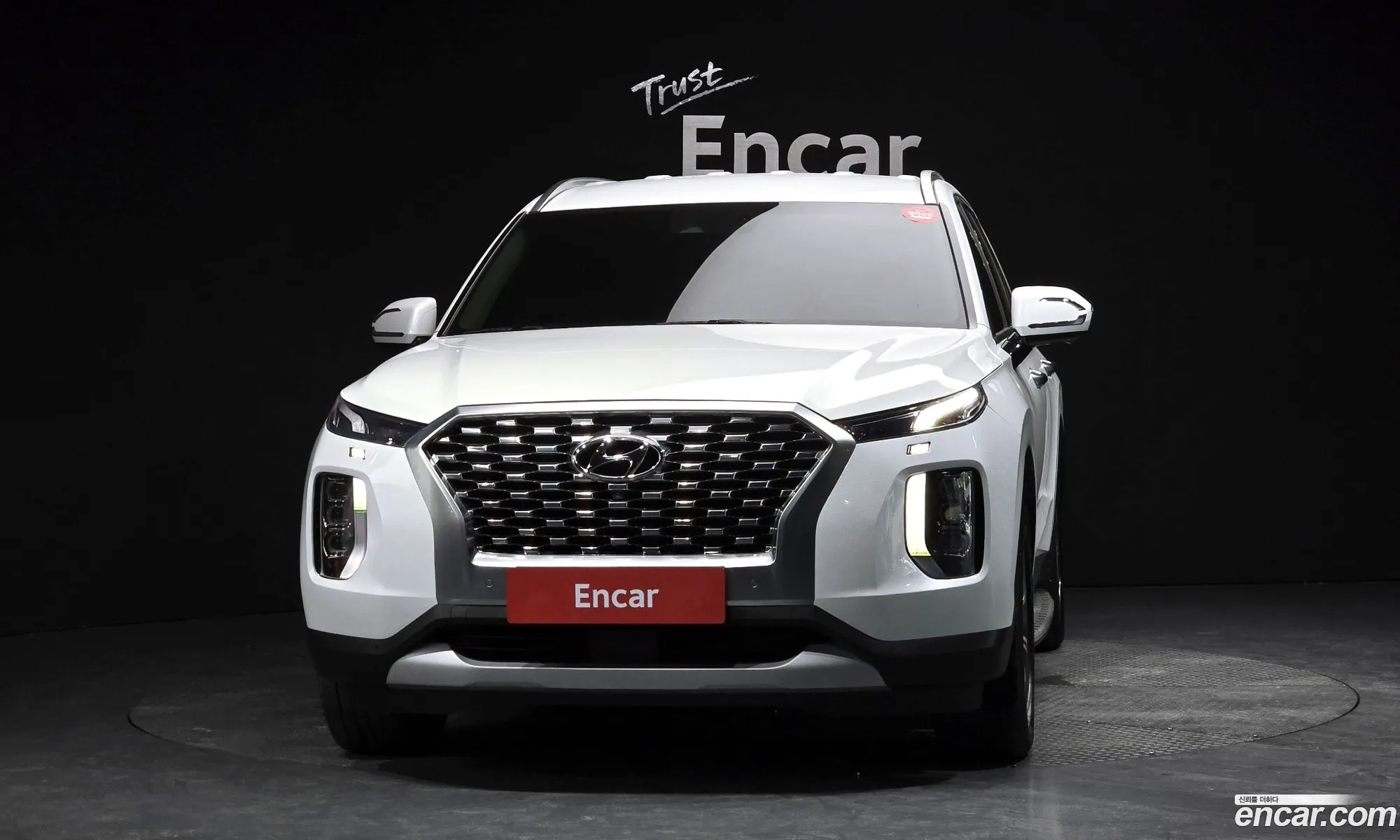 Hyundai Palisade 2021 — 12