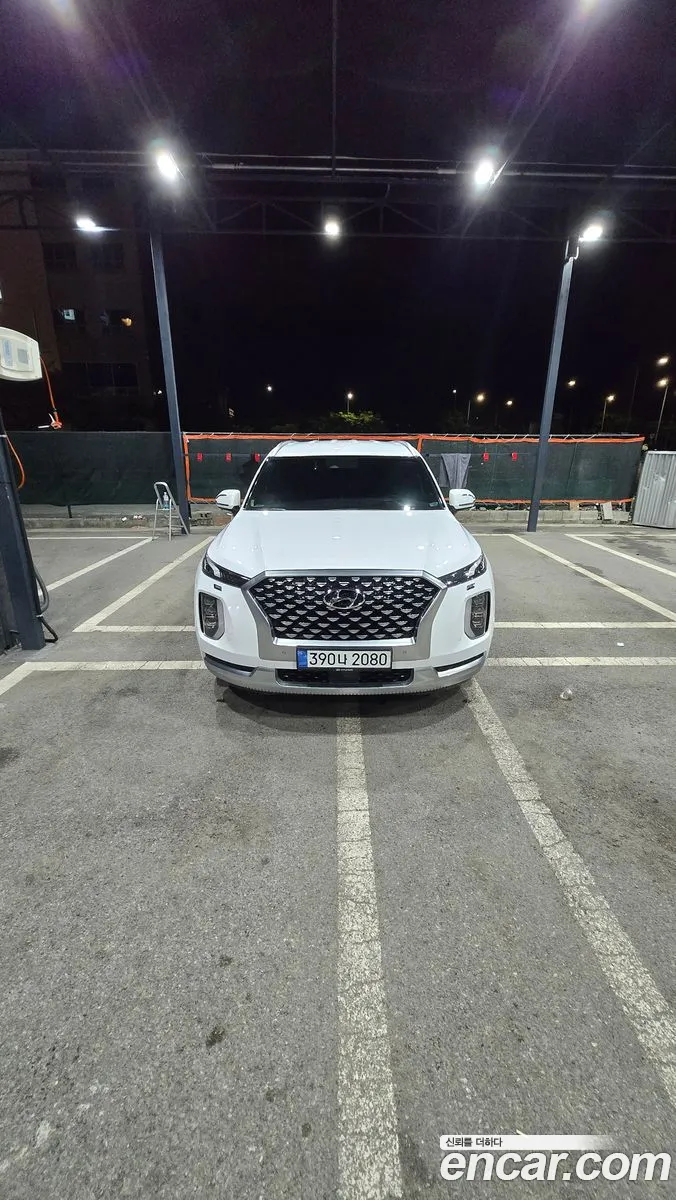 Hyundai Palisade 2020 — 11