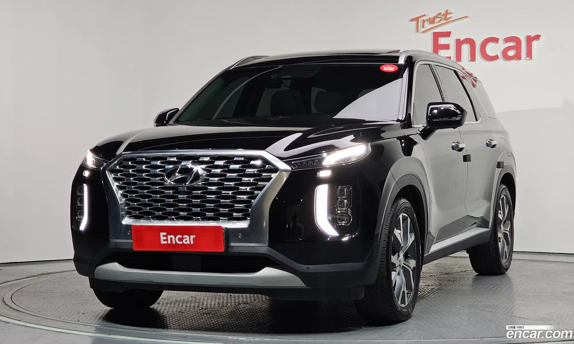 Hyundai Palisade 2020 — 9