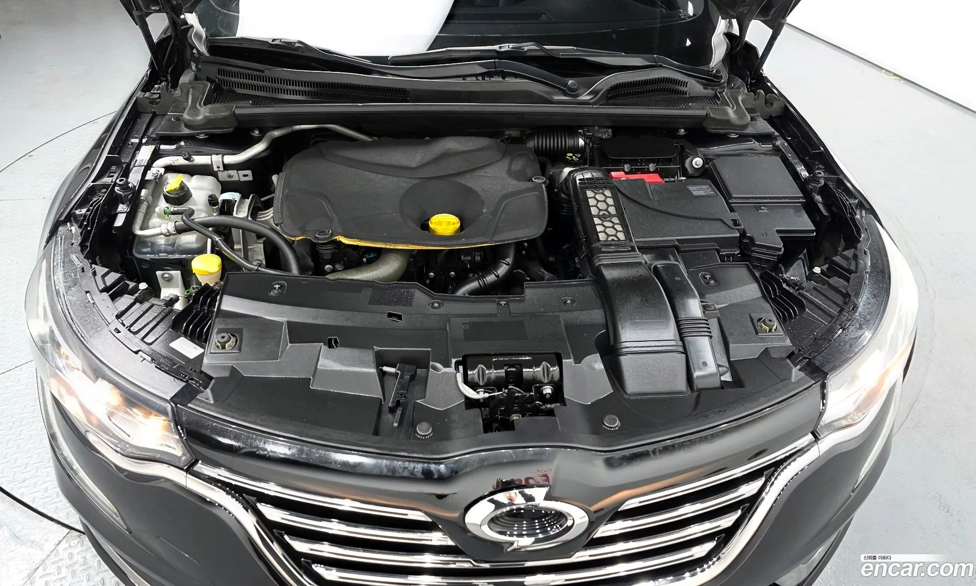 Renault Korea (Samsung) SM6 2017 — 19