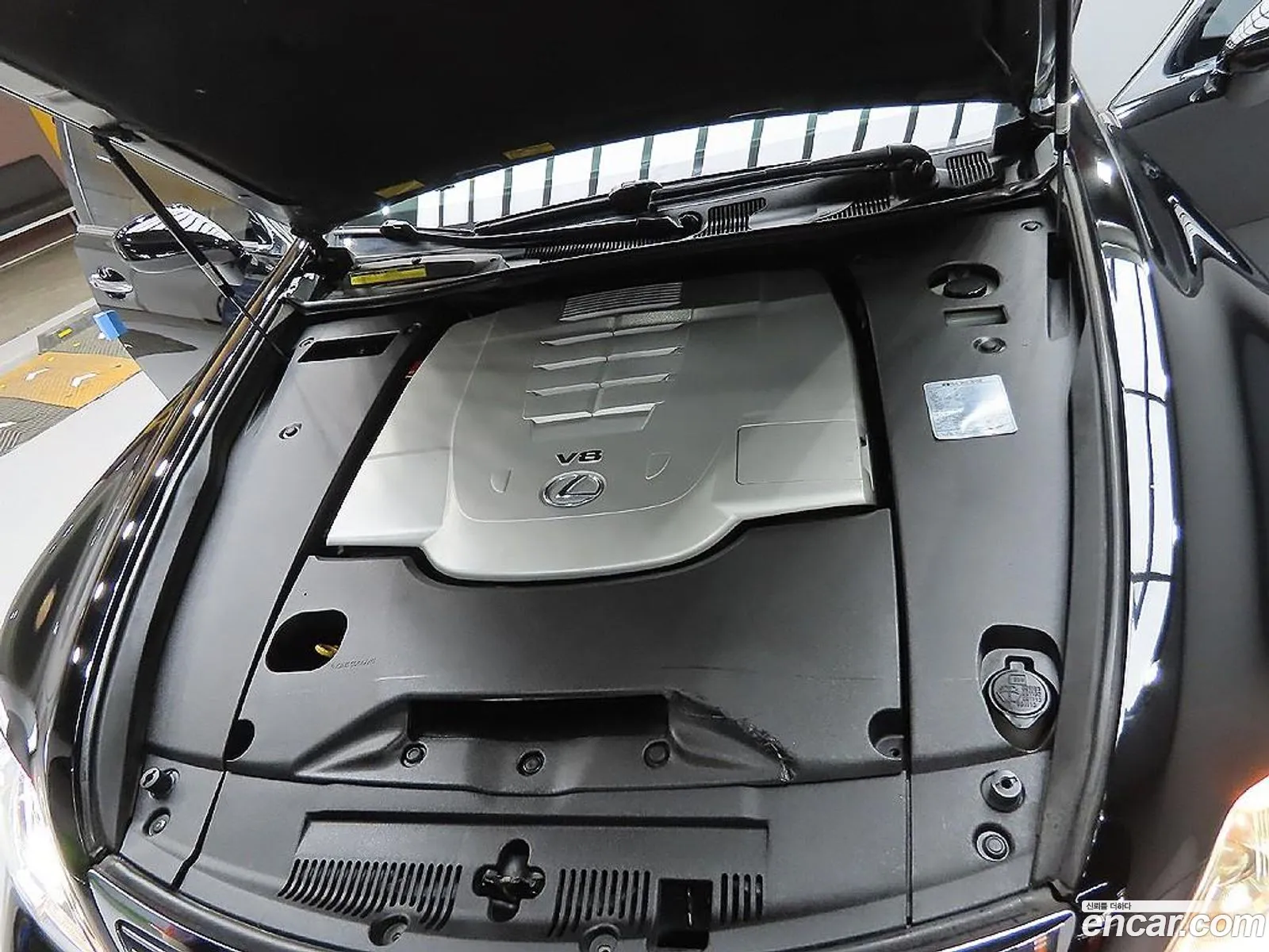 Lexus LS460 2007 — 6