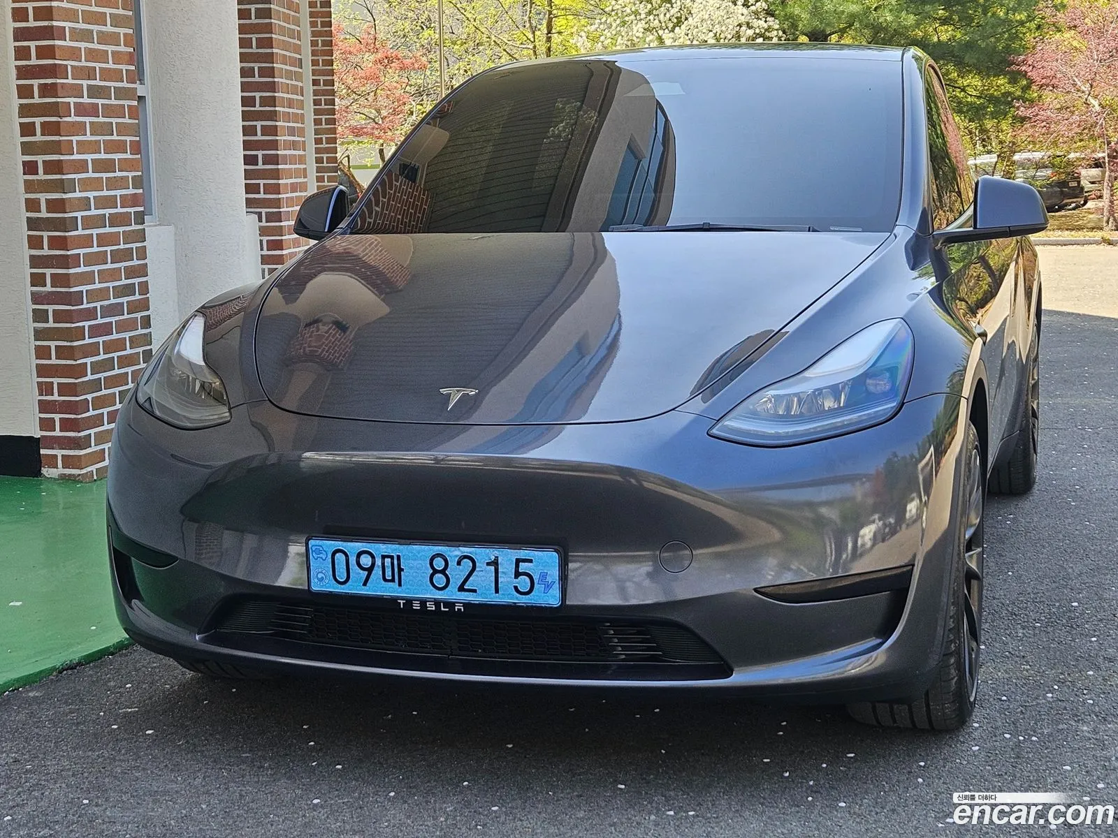 Tesla Model Y 2025 — 17
