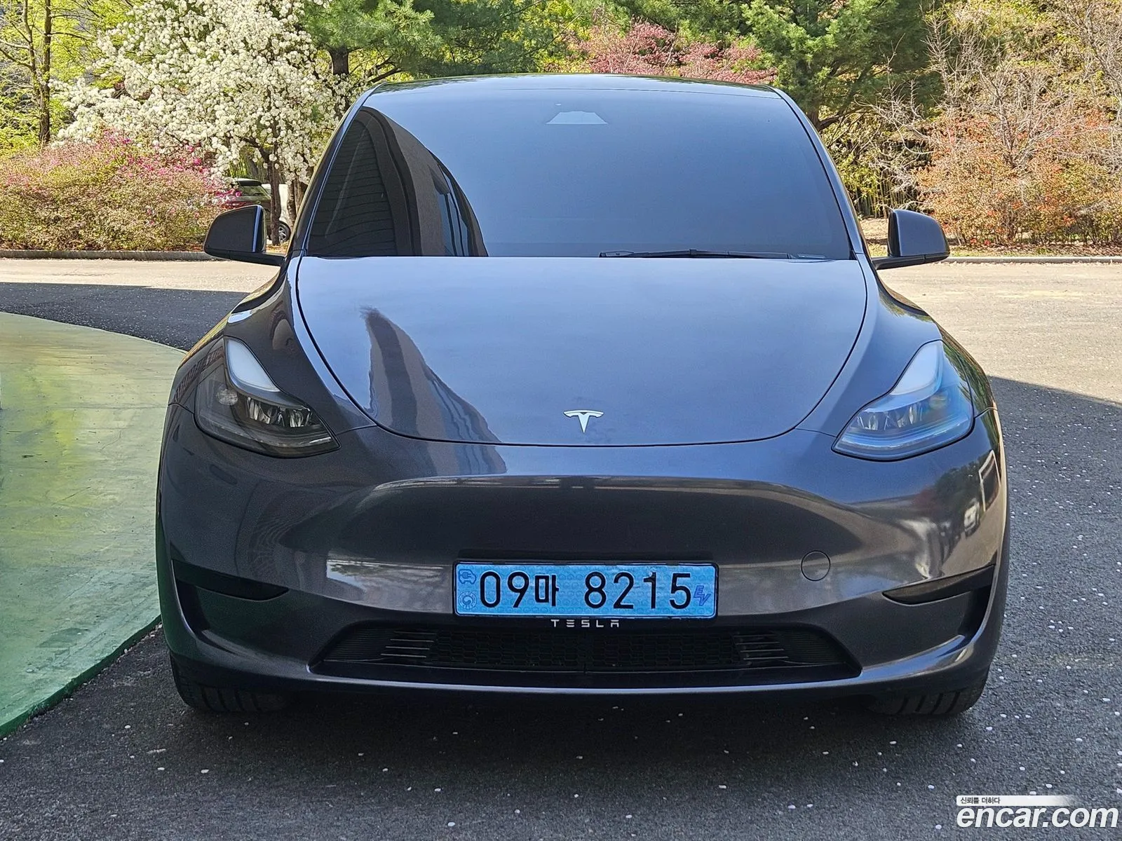 Tesla Model Y 2025 — 19