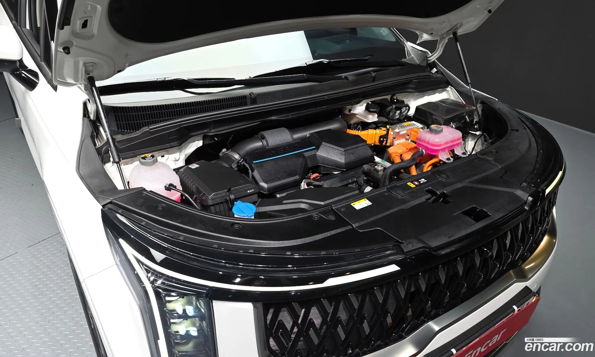 Kia Carnival 2024 — 5