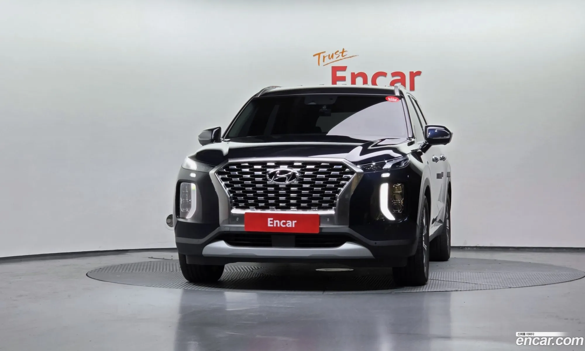 Hyundai Palisade 2019 — 18