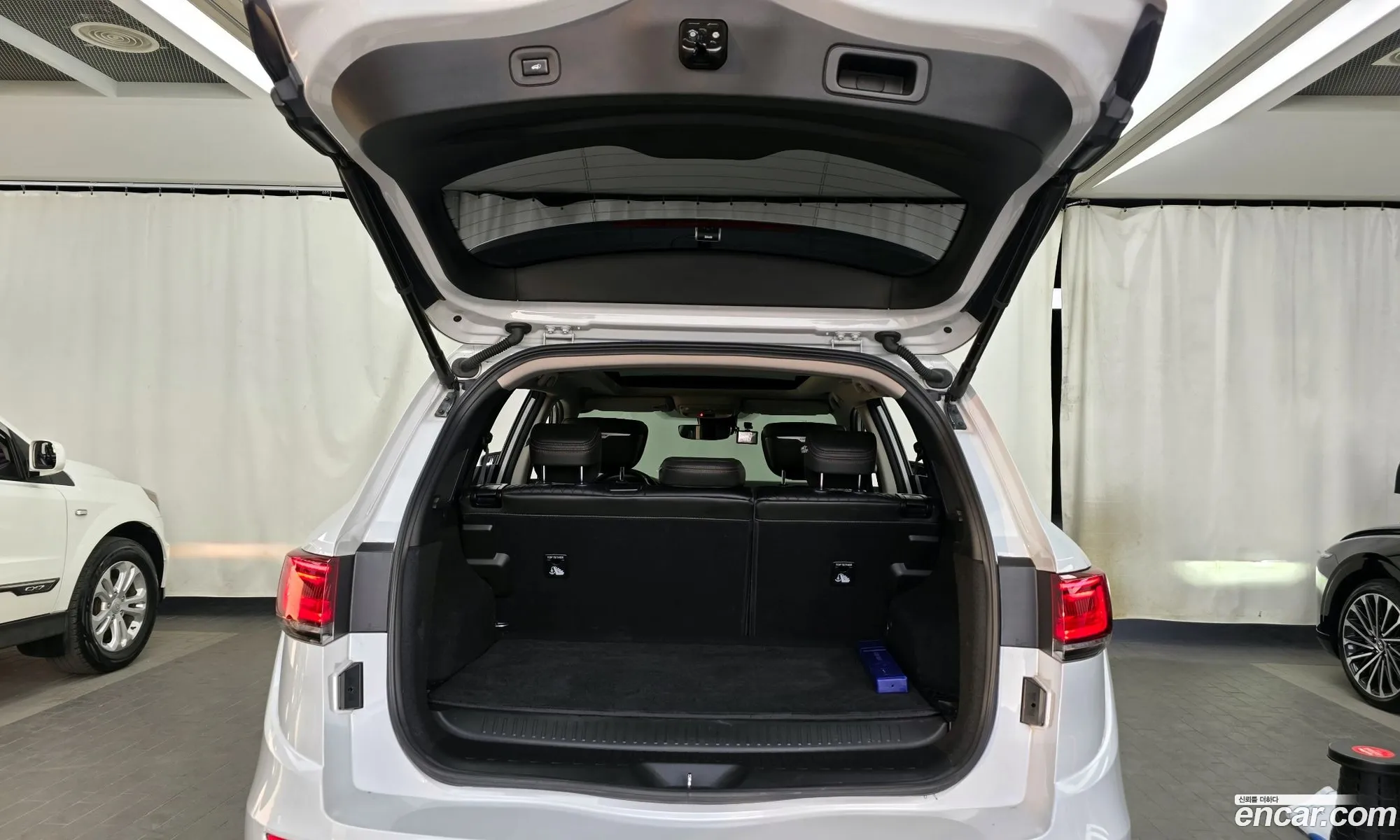 Renault Korea (Samsung) QM6 2020 — 18
