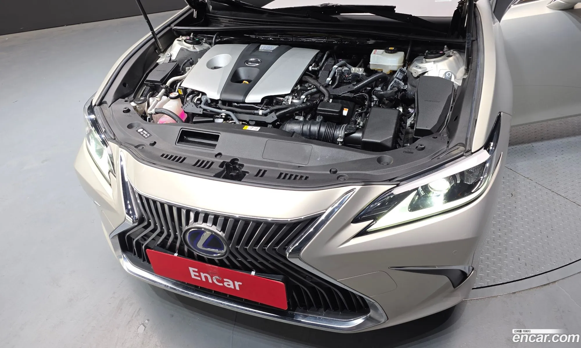 Lexus ES300h 7th Gen 2019 — 19