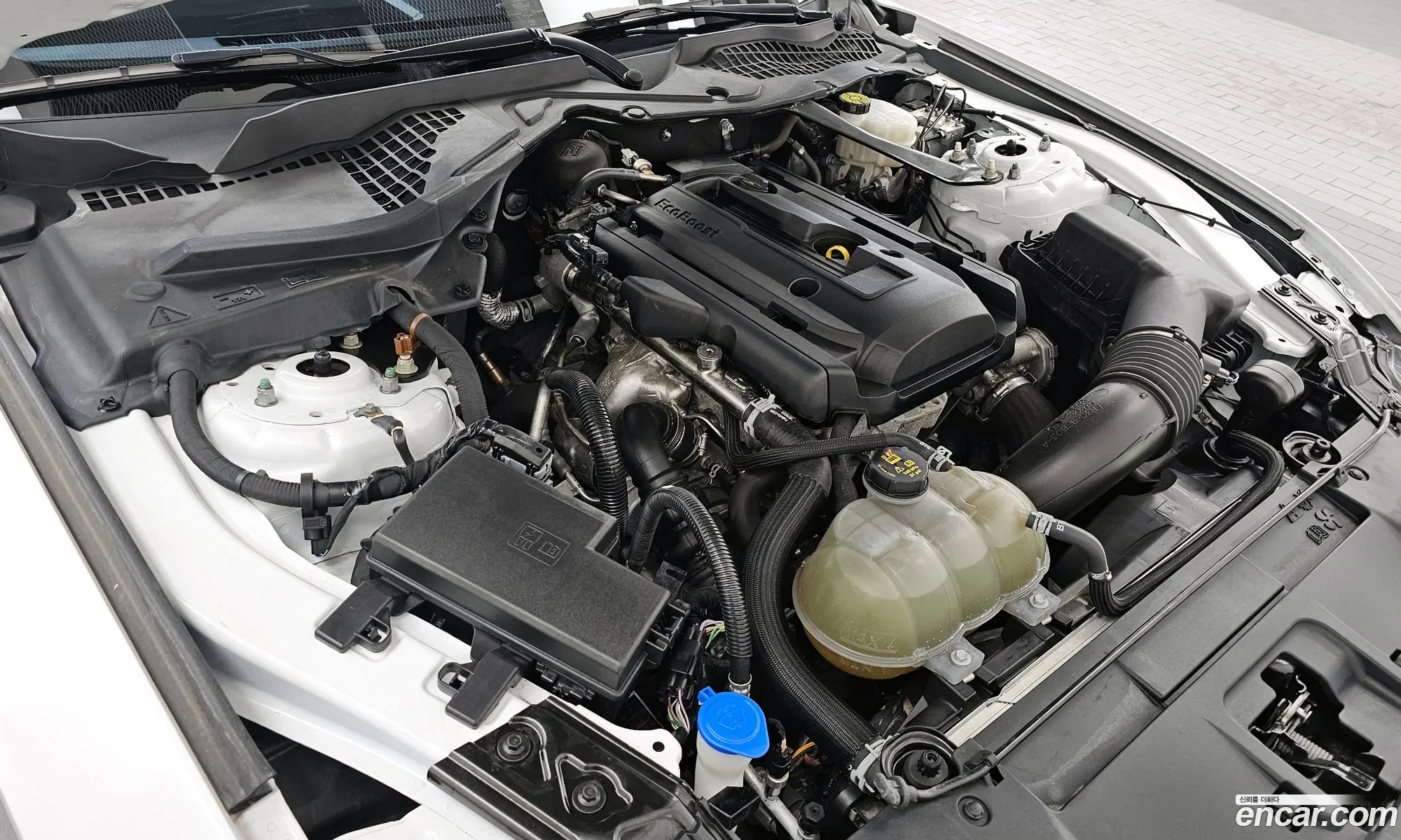 Ford Mustang 2022 — 15