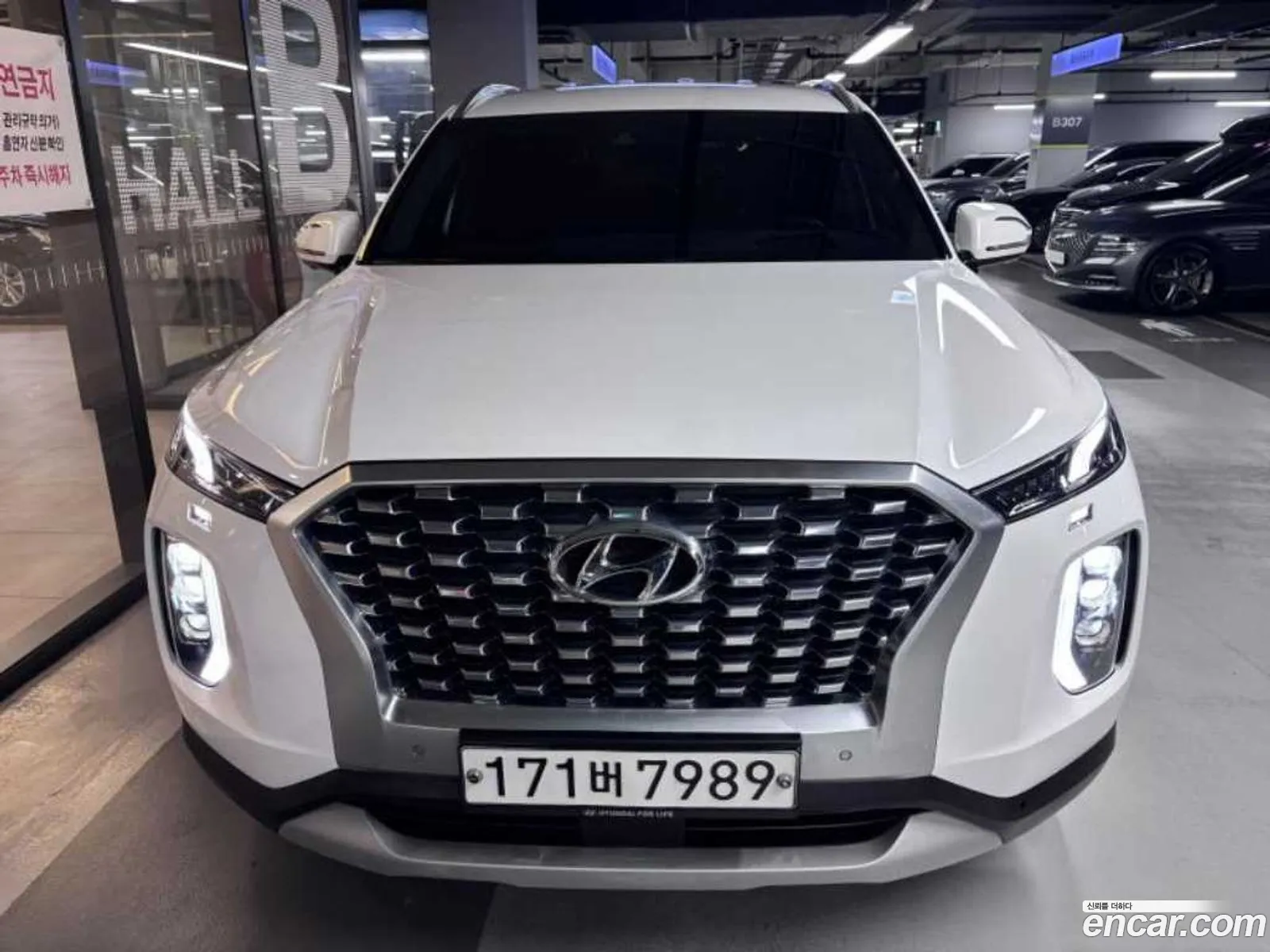 Hyundai Palisade 2020 — 17