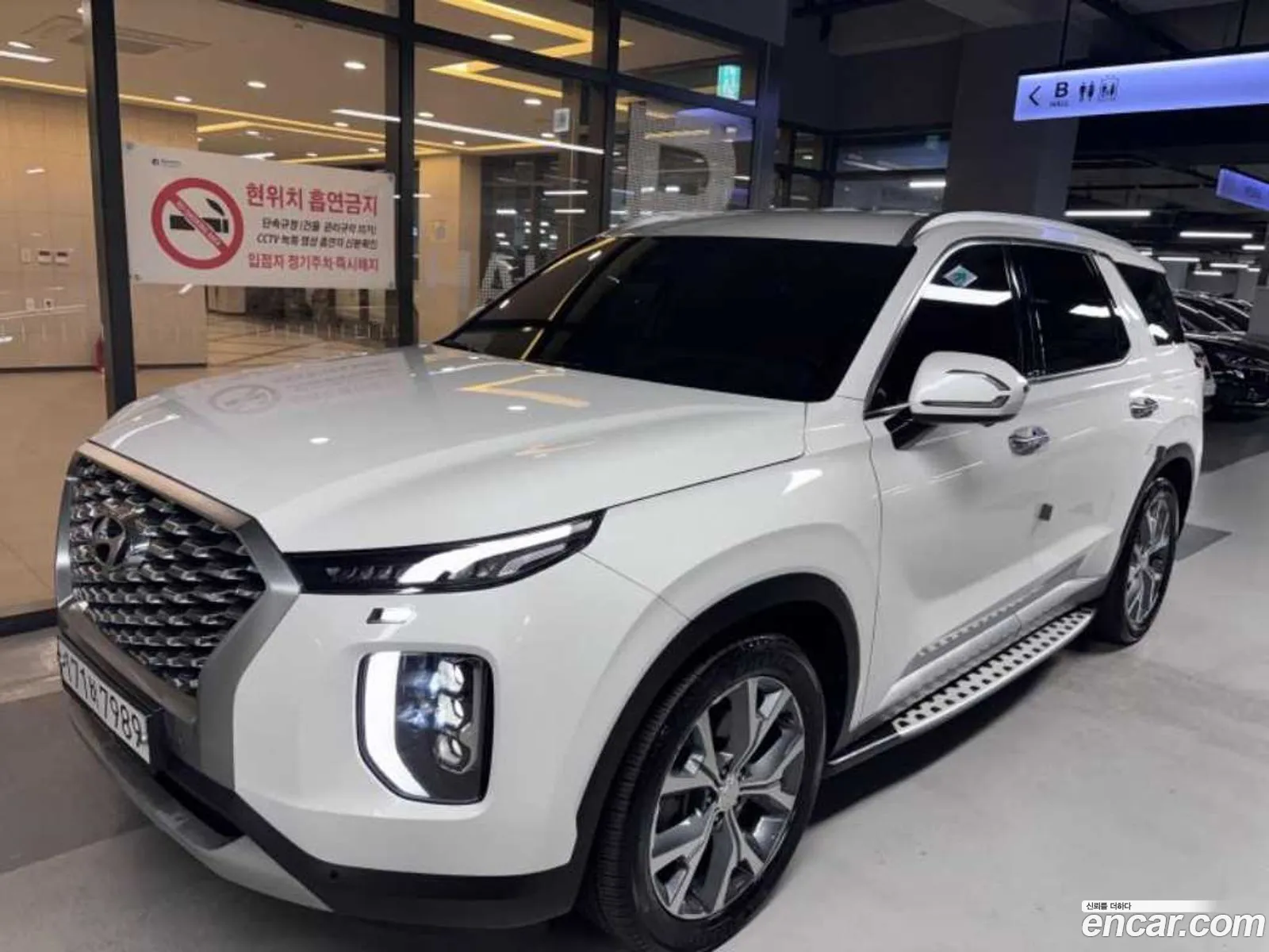 Hyundai Palisade 2020 — 19