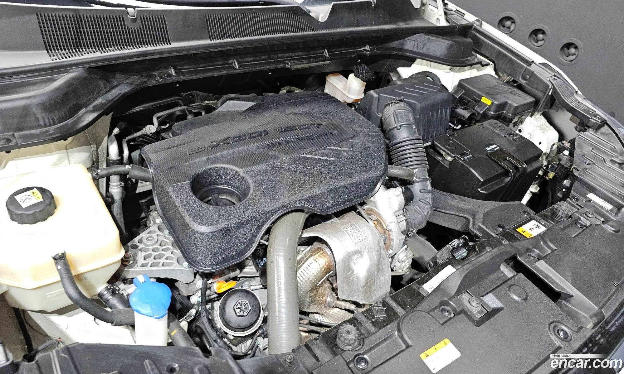 KG Mobility (SsangYong) Beautiful Korando 2021 — 23