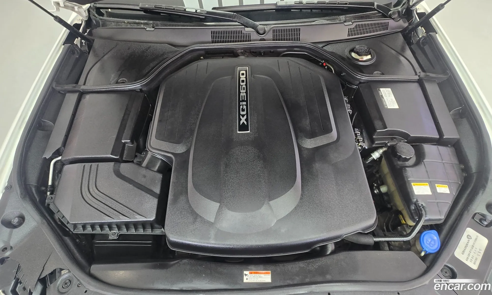 KG Mobility (SsangYong) Chairman W