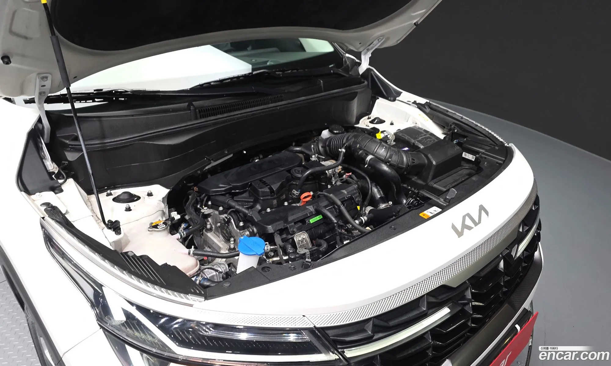 Kia Seltos 2024 — 6