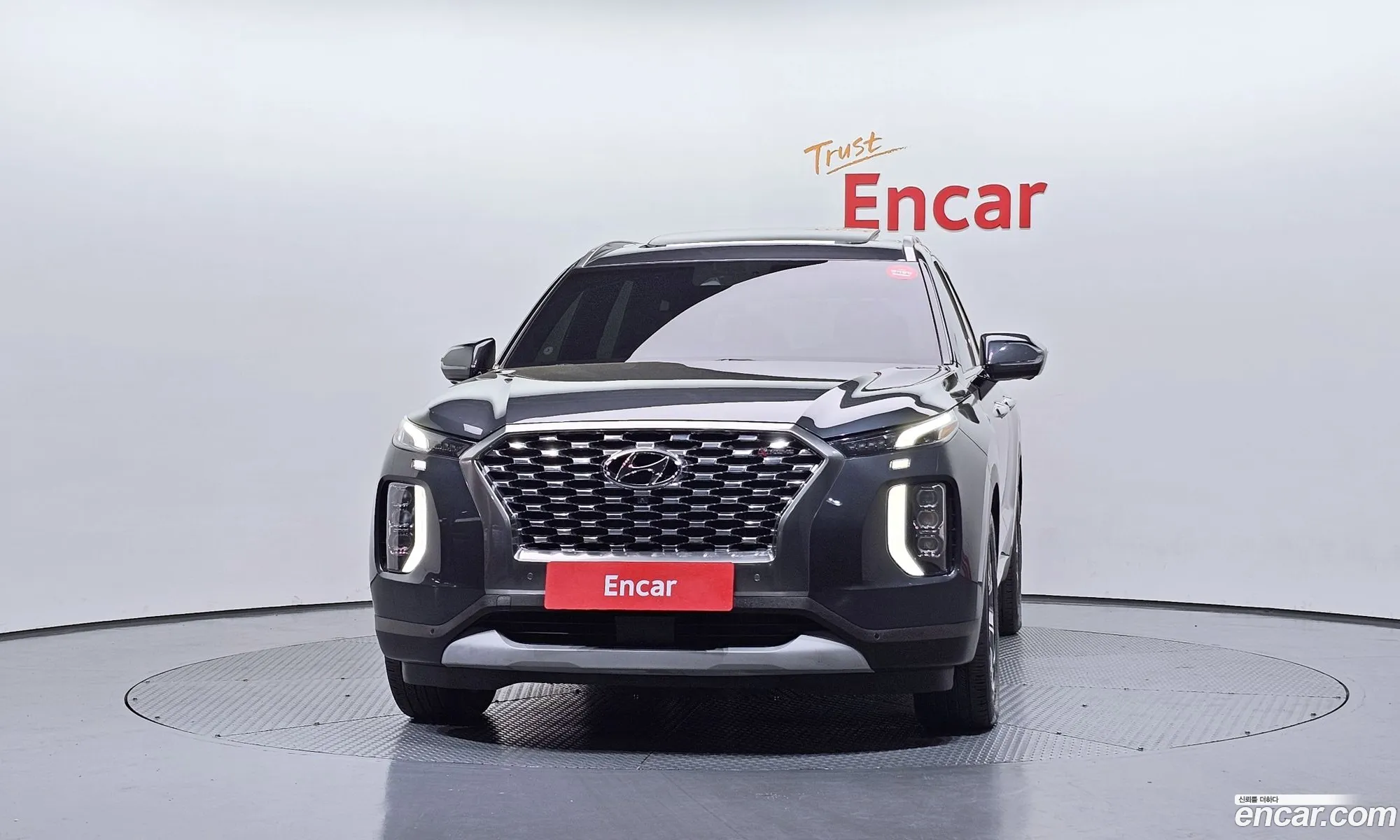 Hyundai Palisade 2019 — 18