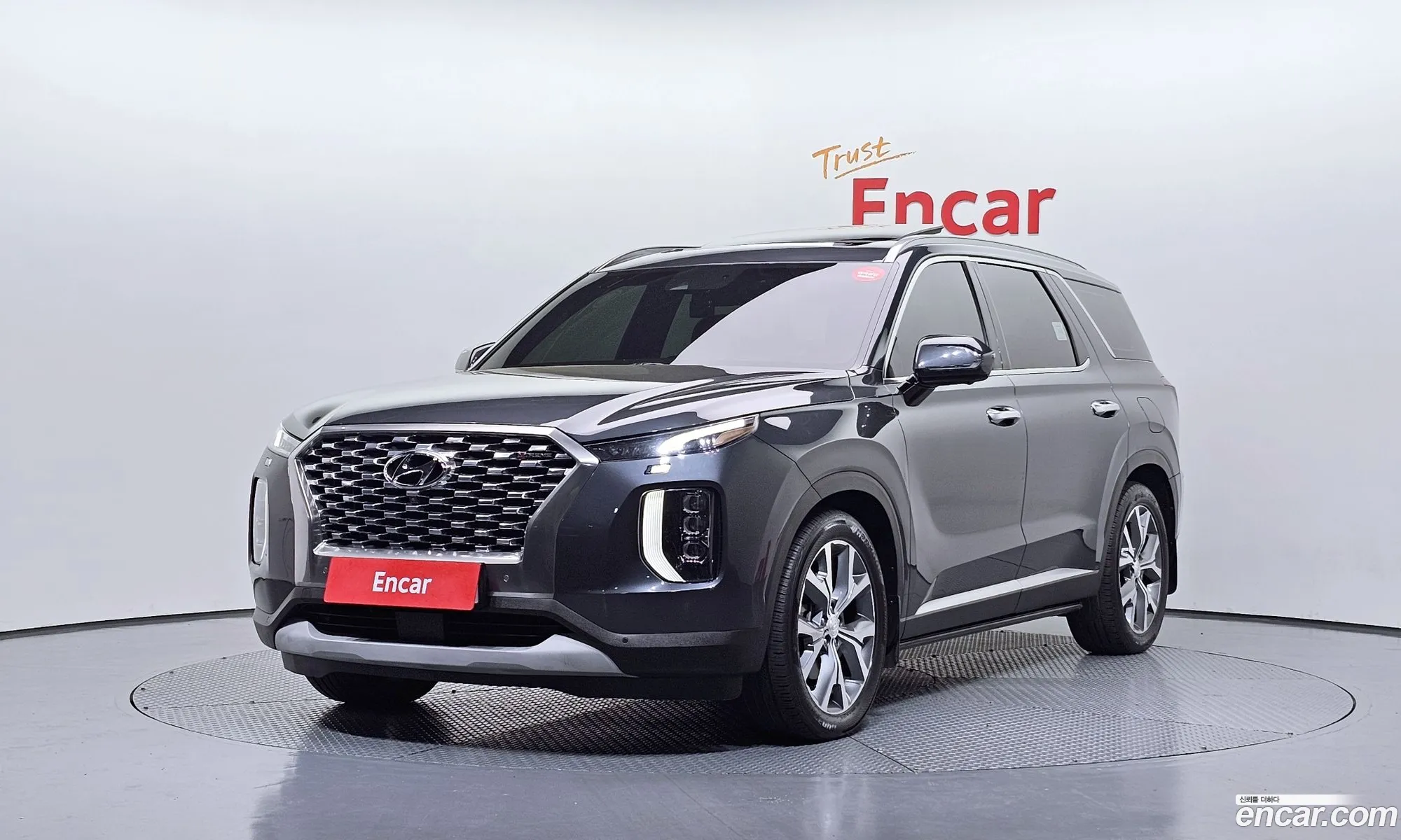 Hyundai Palisade 2019 — 9