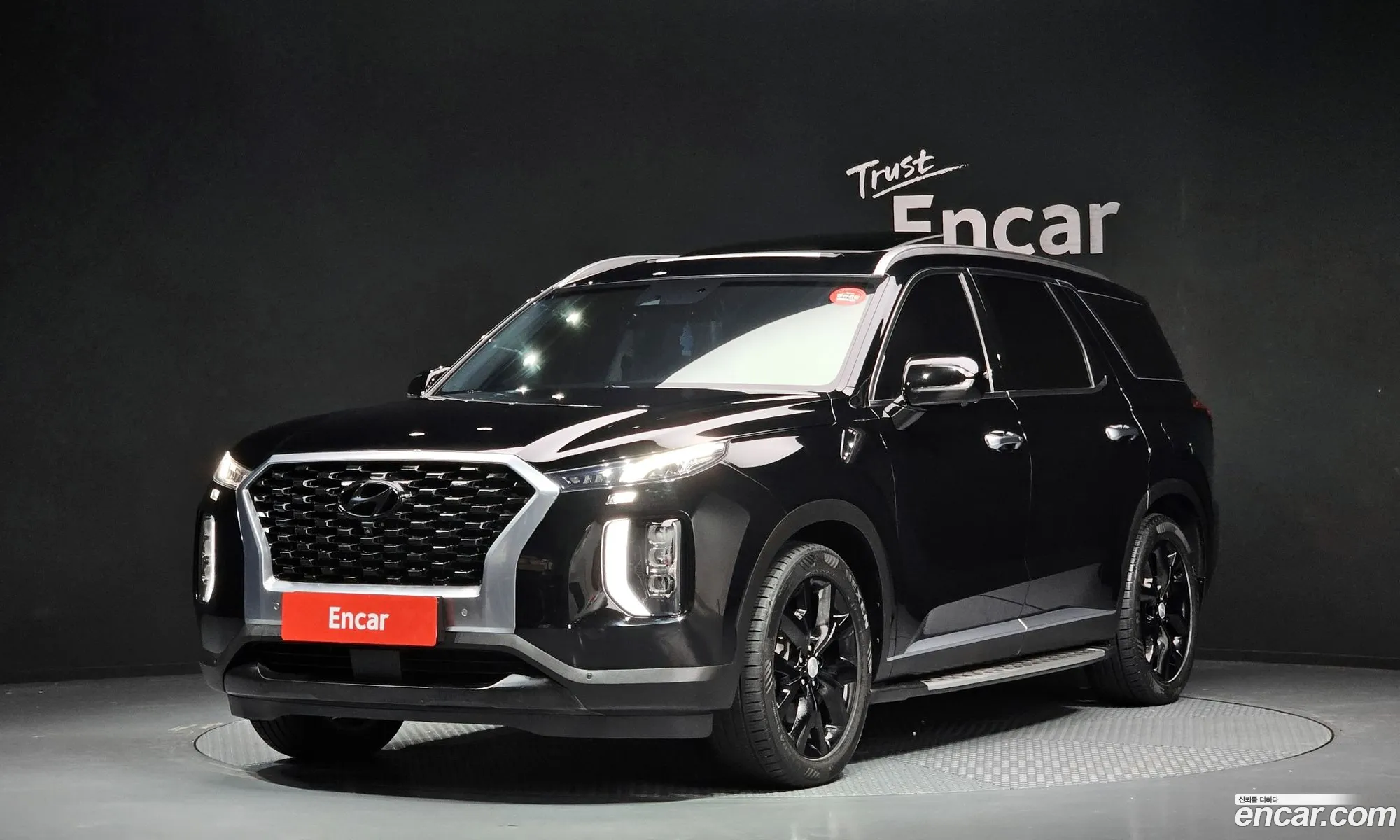 Hyundai Palisade 2020 — 19