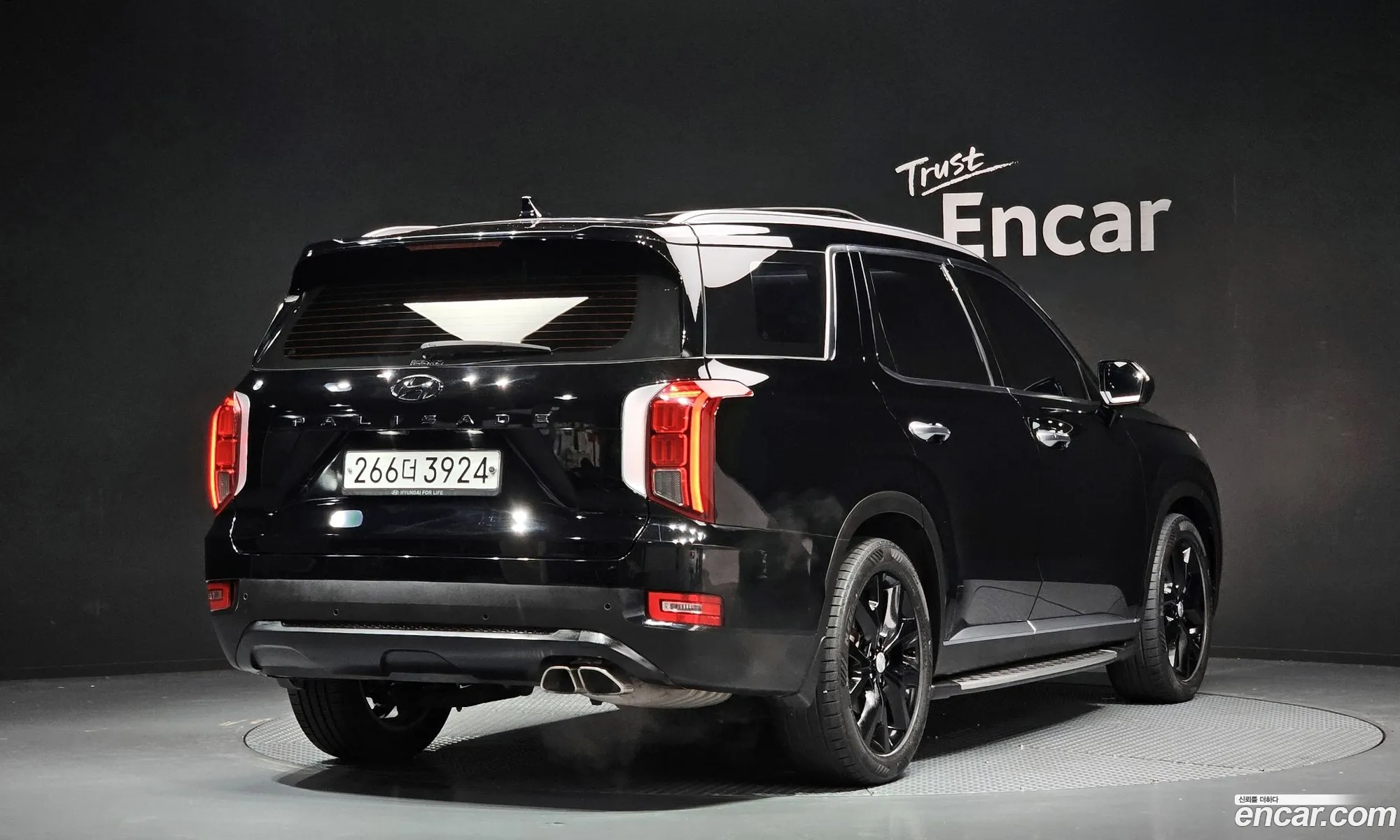 Hyundai Palisade 2020 — 5