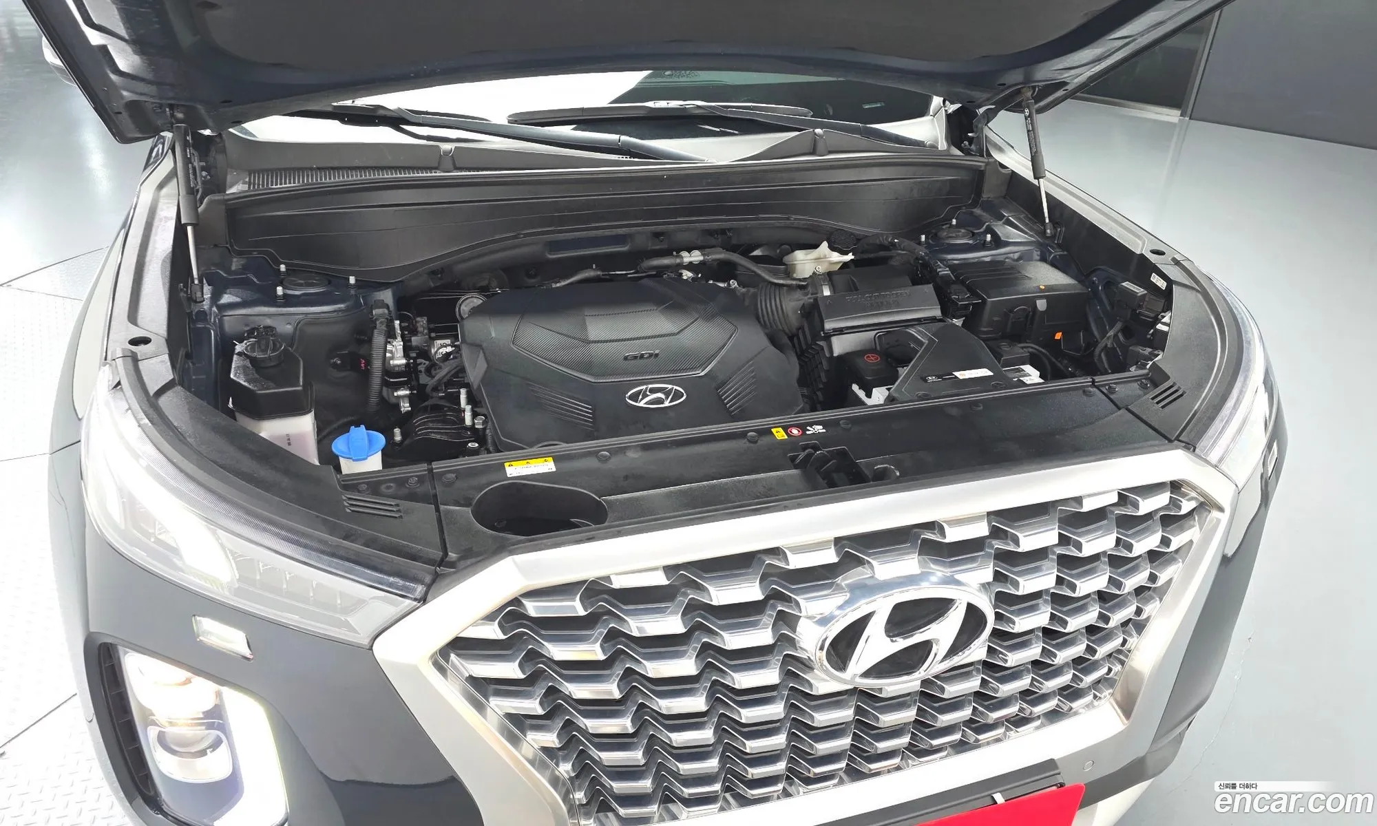 Hyundai Palisade 2019 — 6