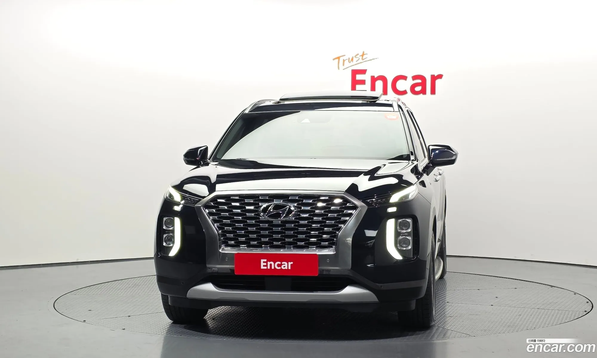 Hyundai Palisade 2019 — 26