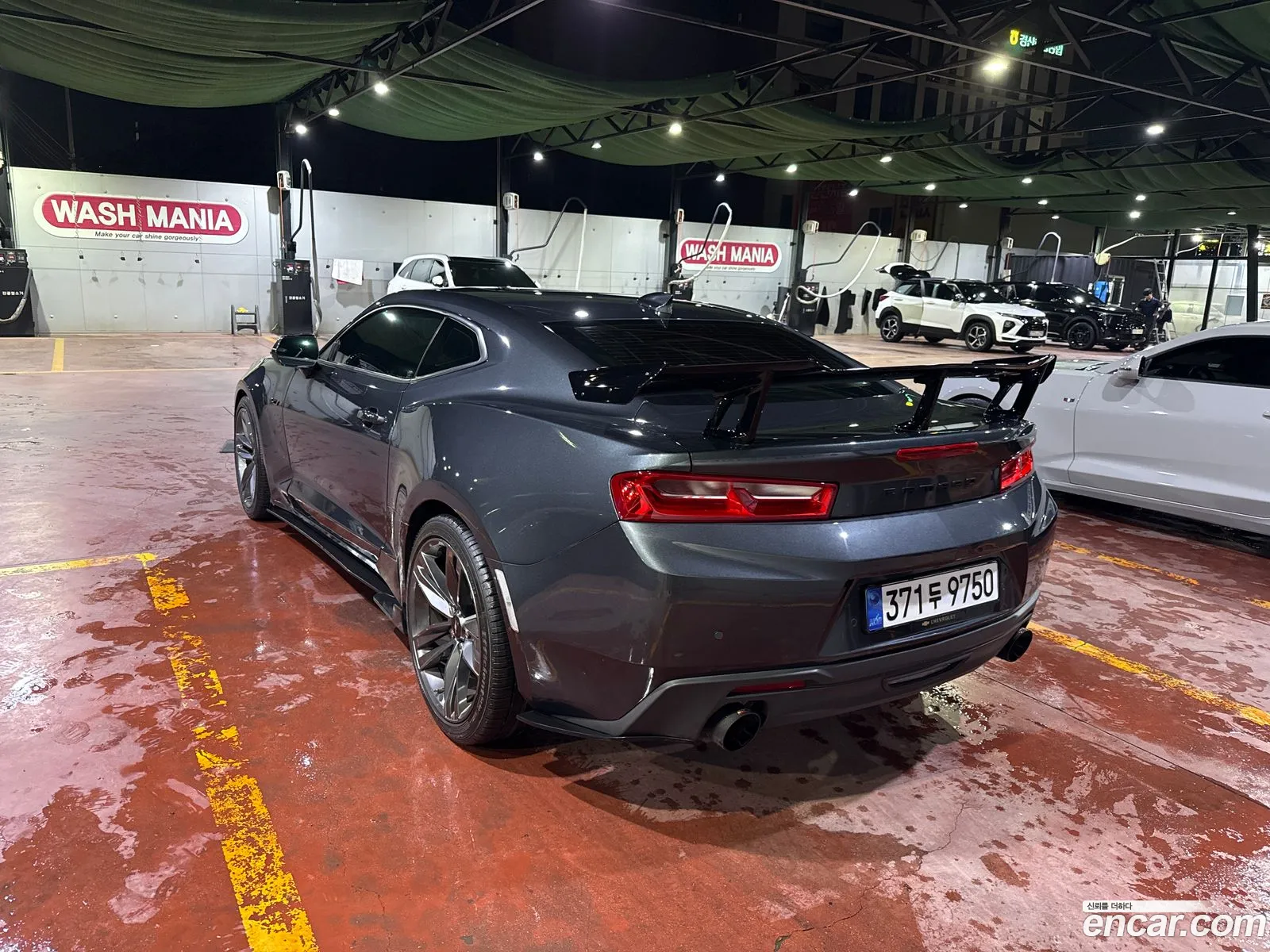Chevrolet (GM Daewoo) Camaro