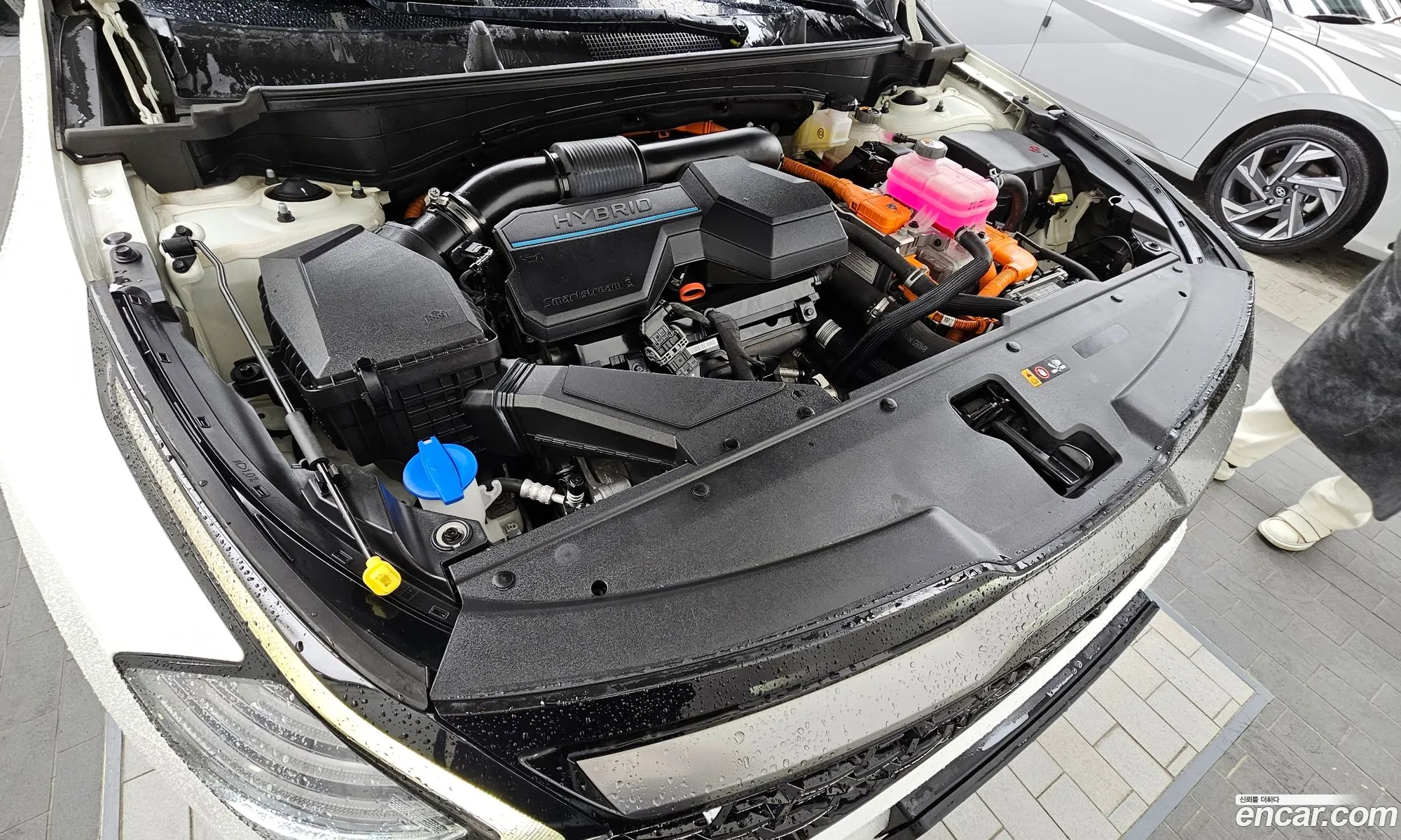 Kia Sportage Hybrid 2021 — 8