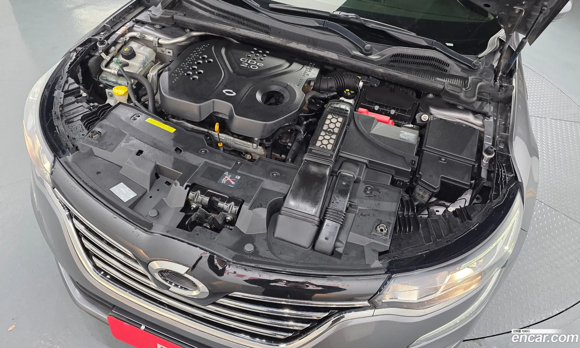 Renault Korea (Samsung) SM6 2019 — 17