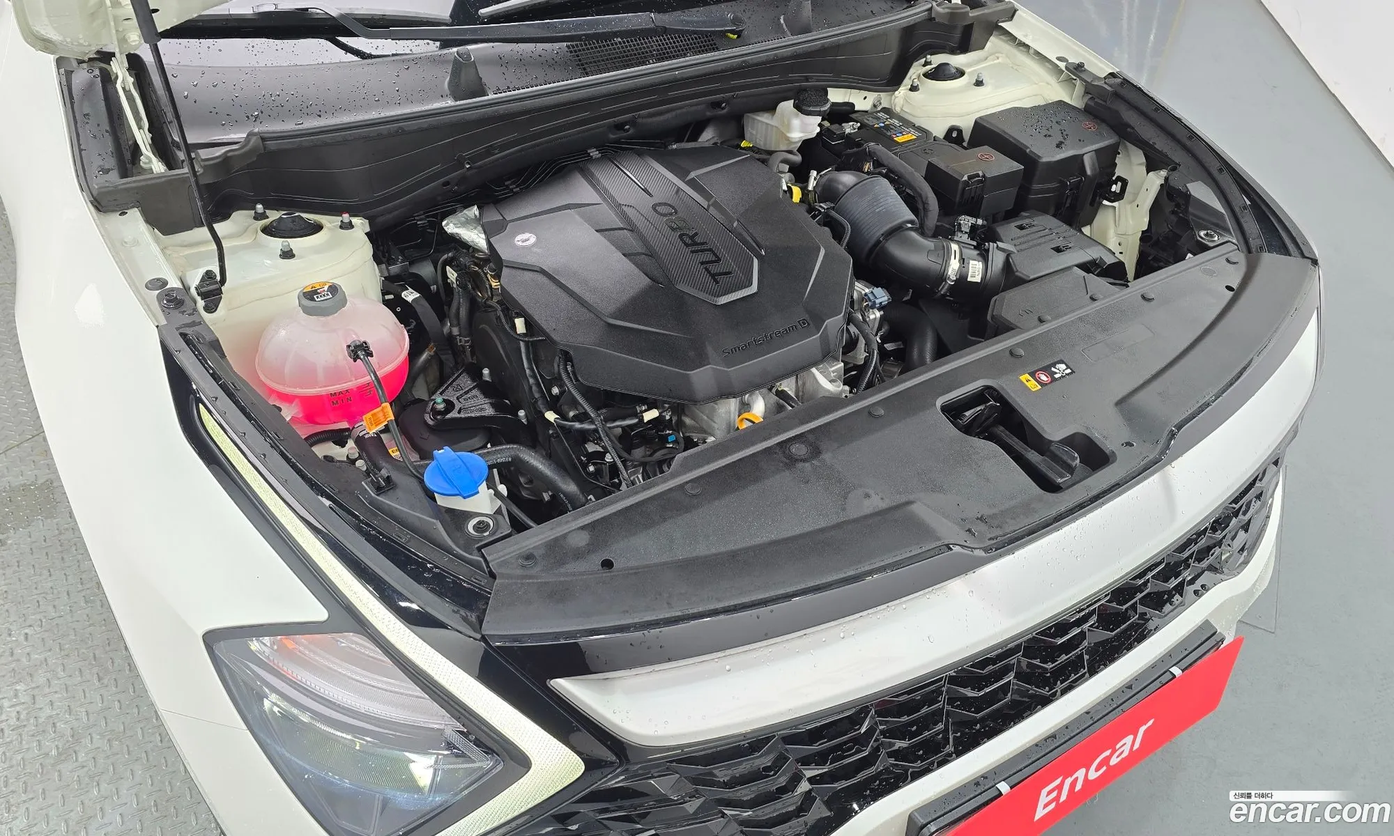 Kia Sportage 2022 — 6