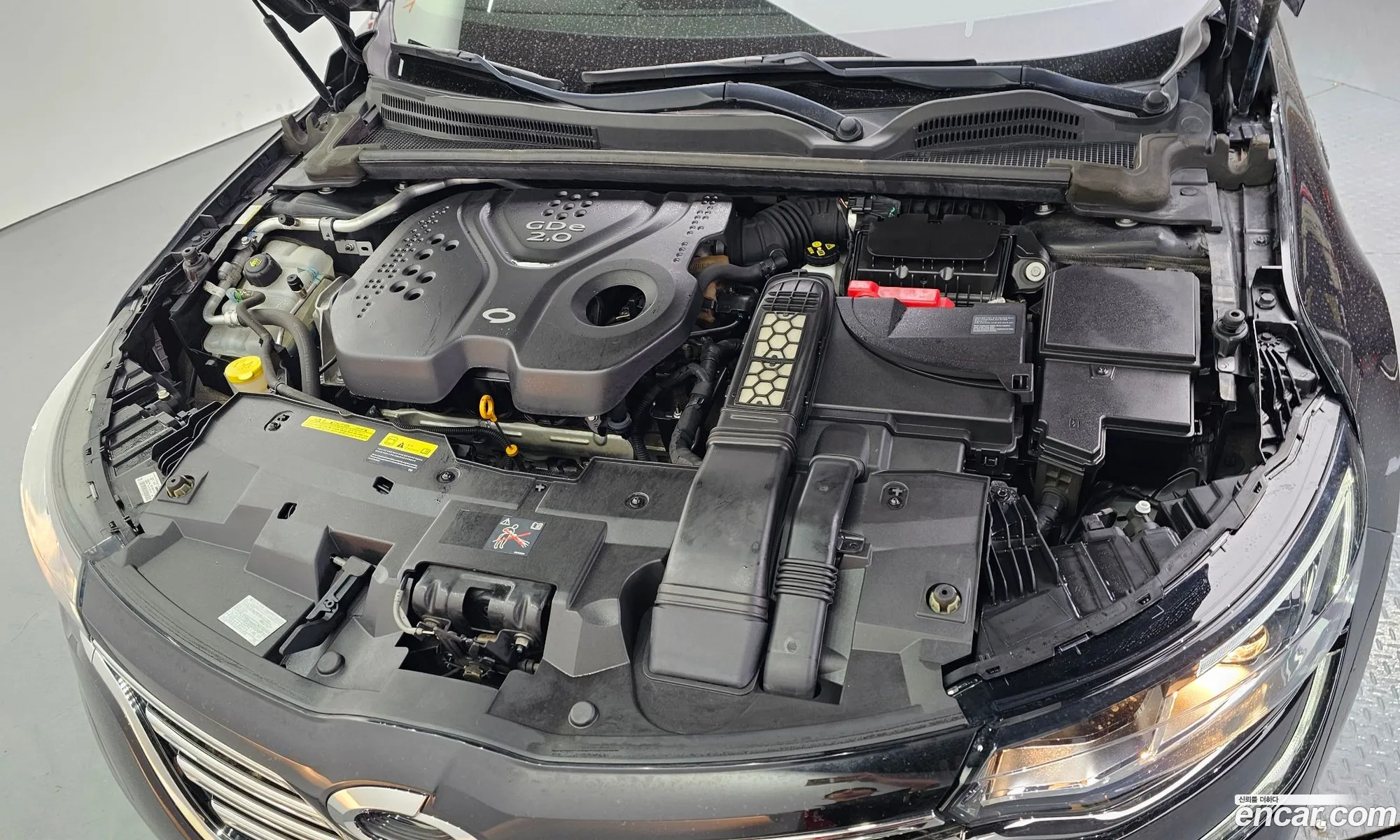 Renault Korea (Samsung) SM6 2017 — 16