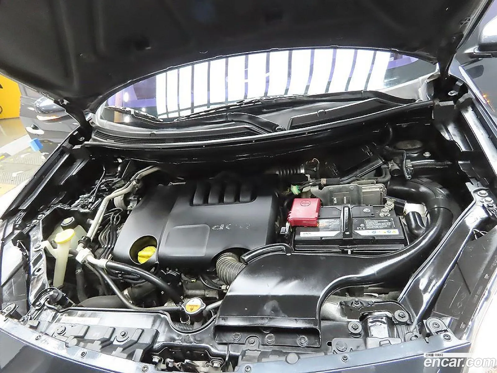 Renault Korea (Samsung) QM5 Neo