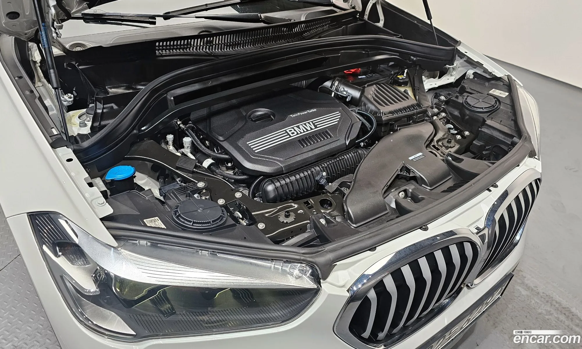 BMW X1 2022 WBA11DG06N5V28258 — 2