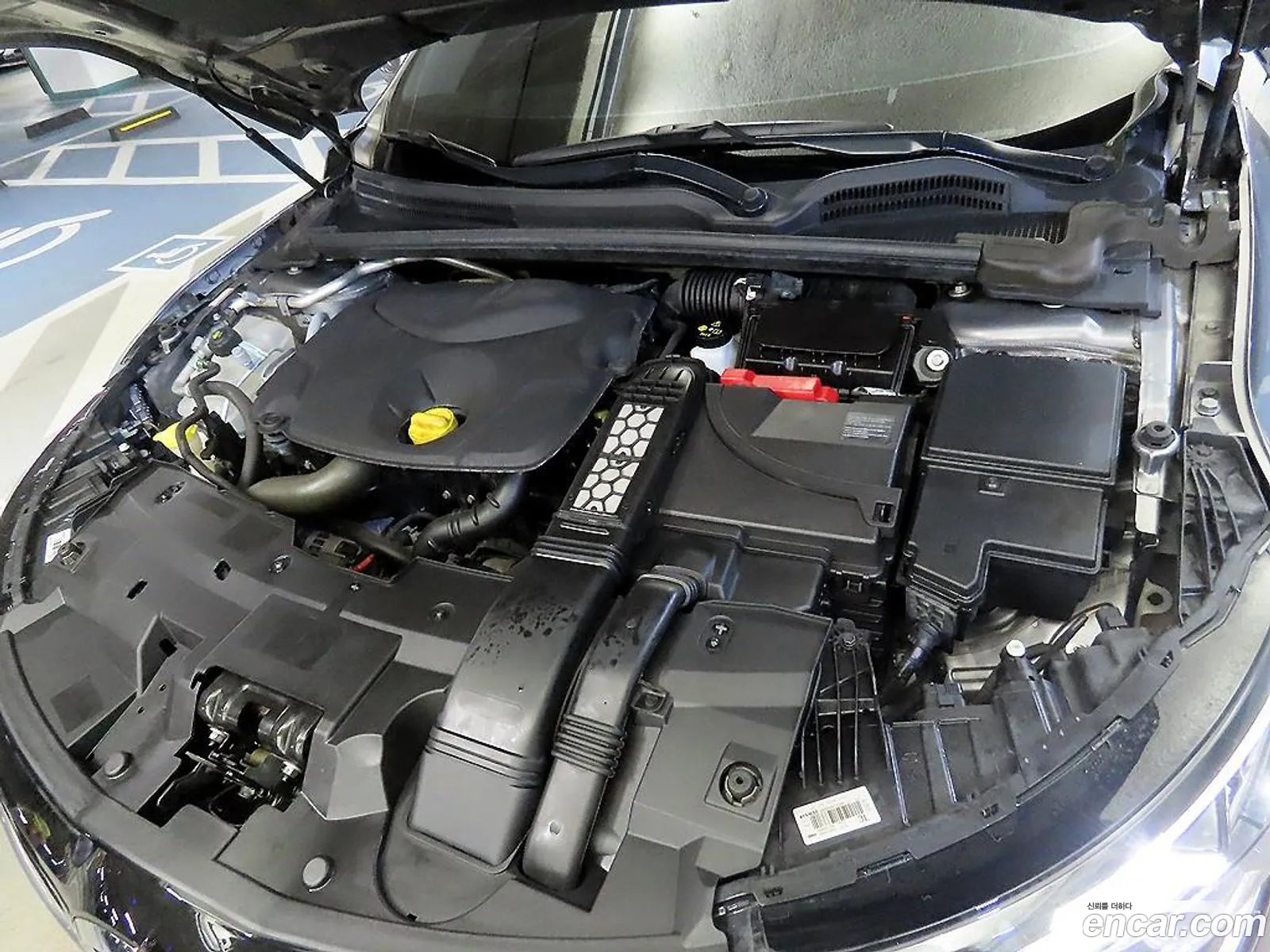 Renault Korea (Samsung) SM6 2018 — 11