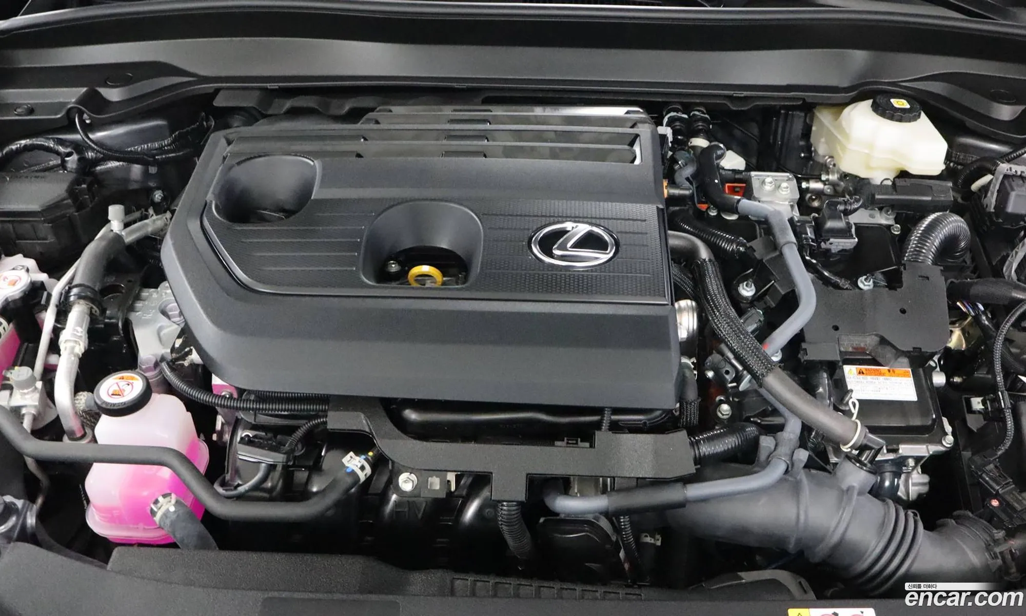 Lexus UX300h 2025 — 5