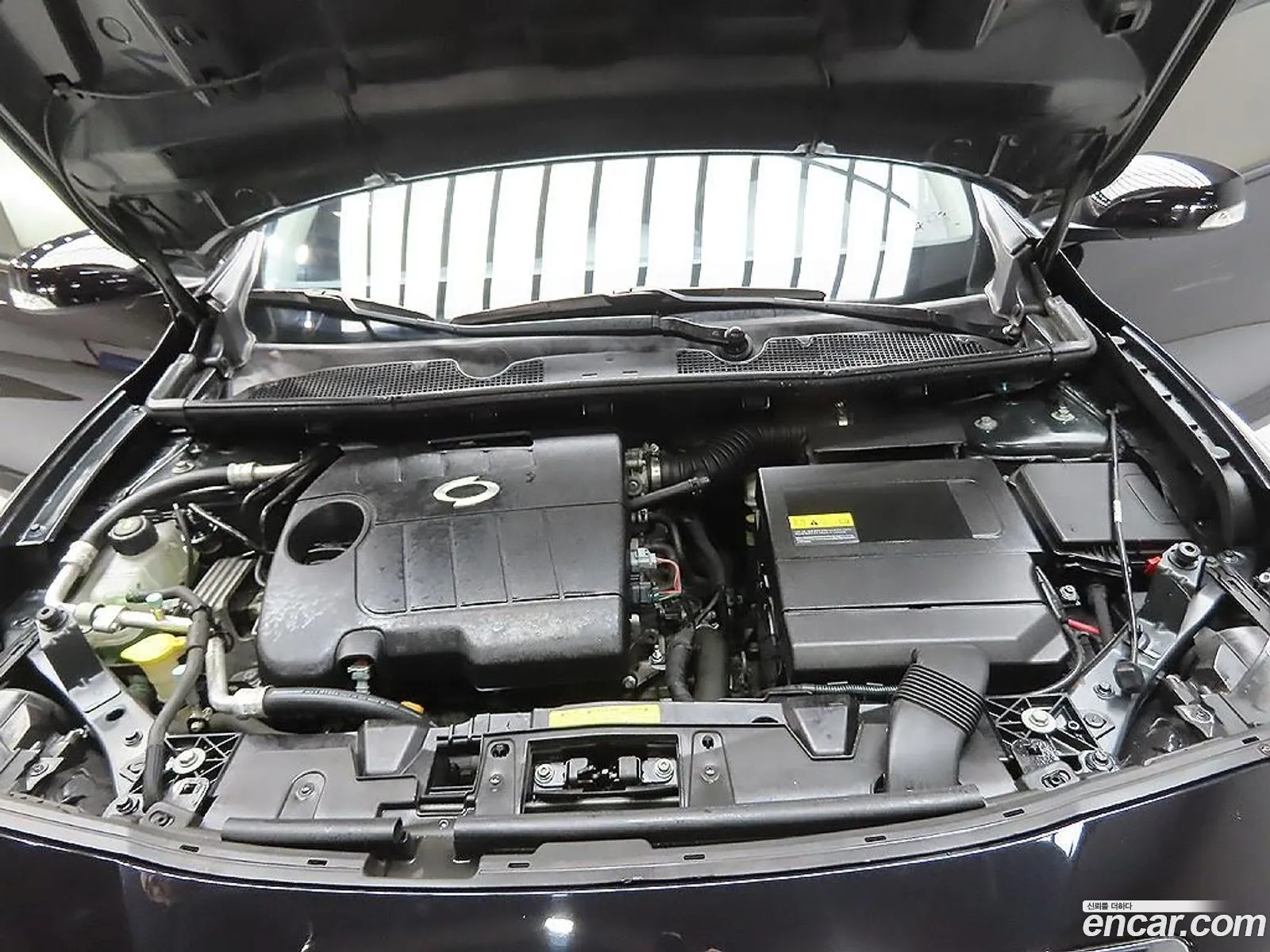 Renault Korea (Samsung) SM3 2010 — 5
