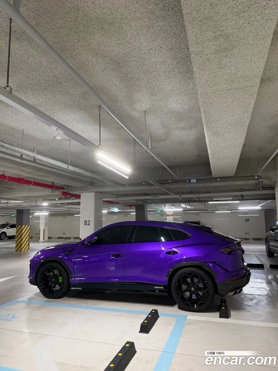 Lamborghini Urus 2024 — 8