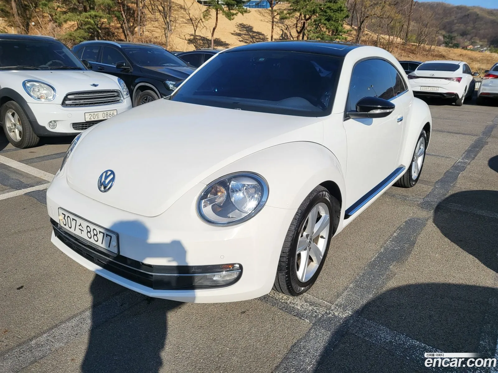 Volkswagen The Beetle 2013 — 7