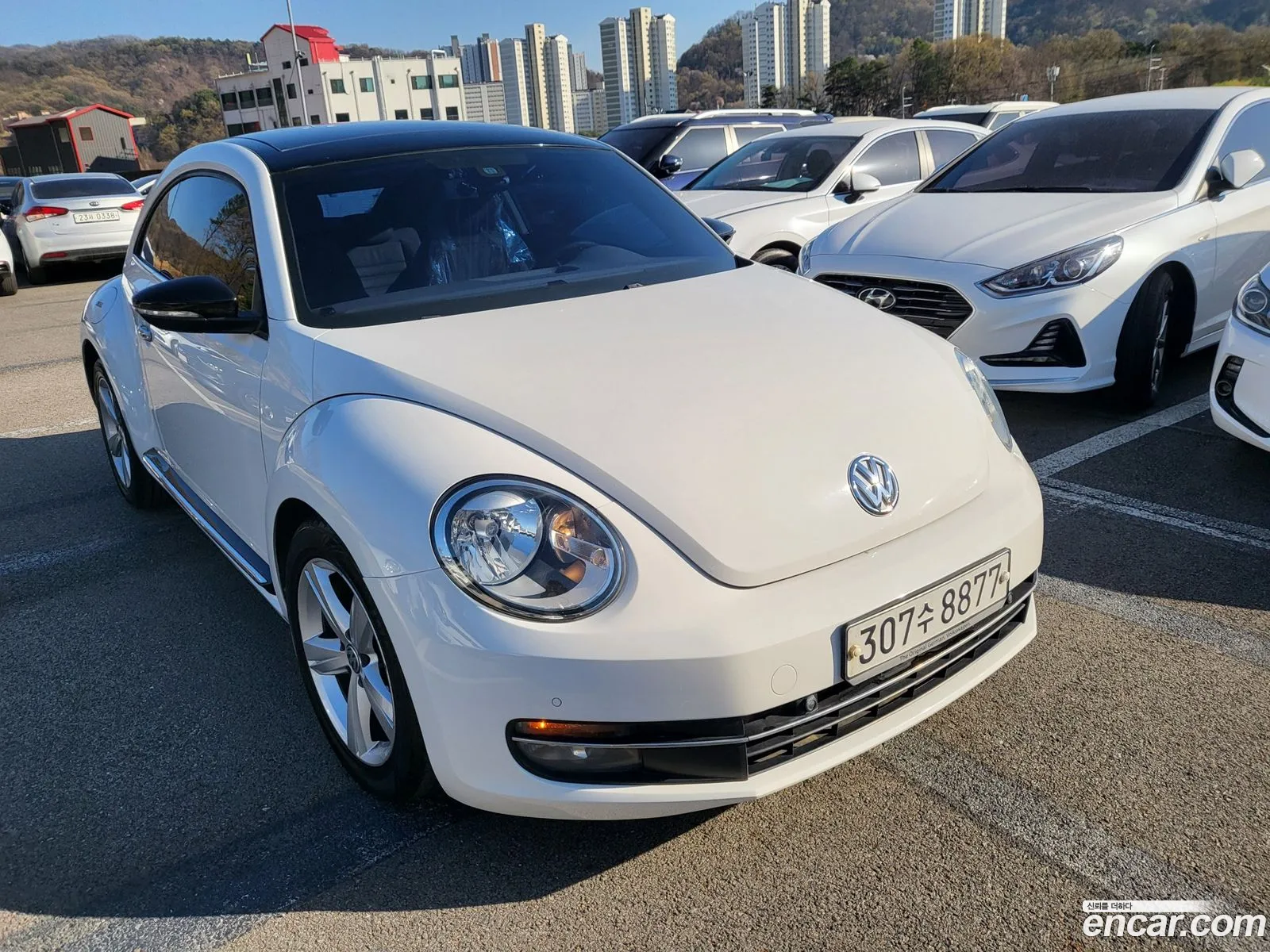 Volkswagen The Beetle 2013 — 3