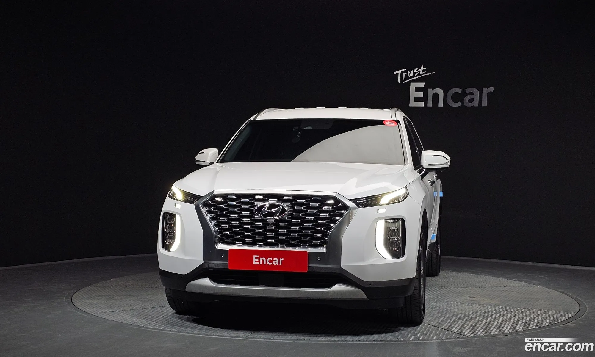 Hyundai Palisade 2020 — 8