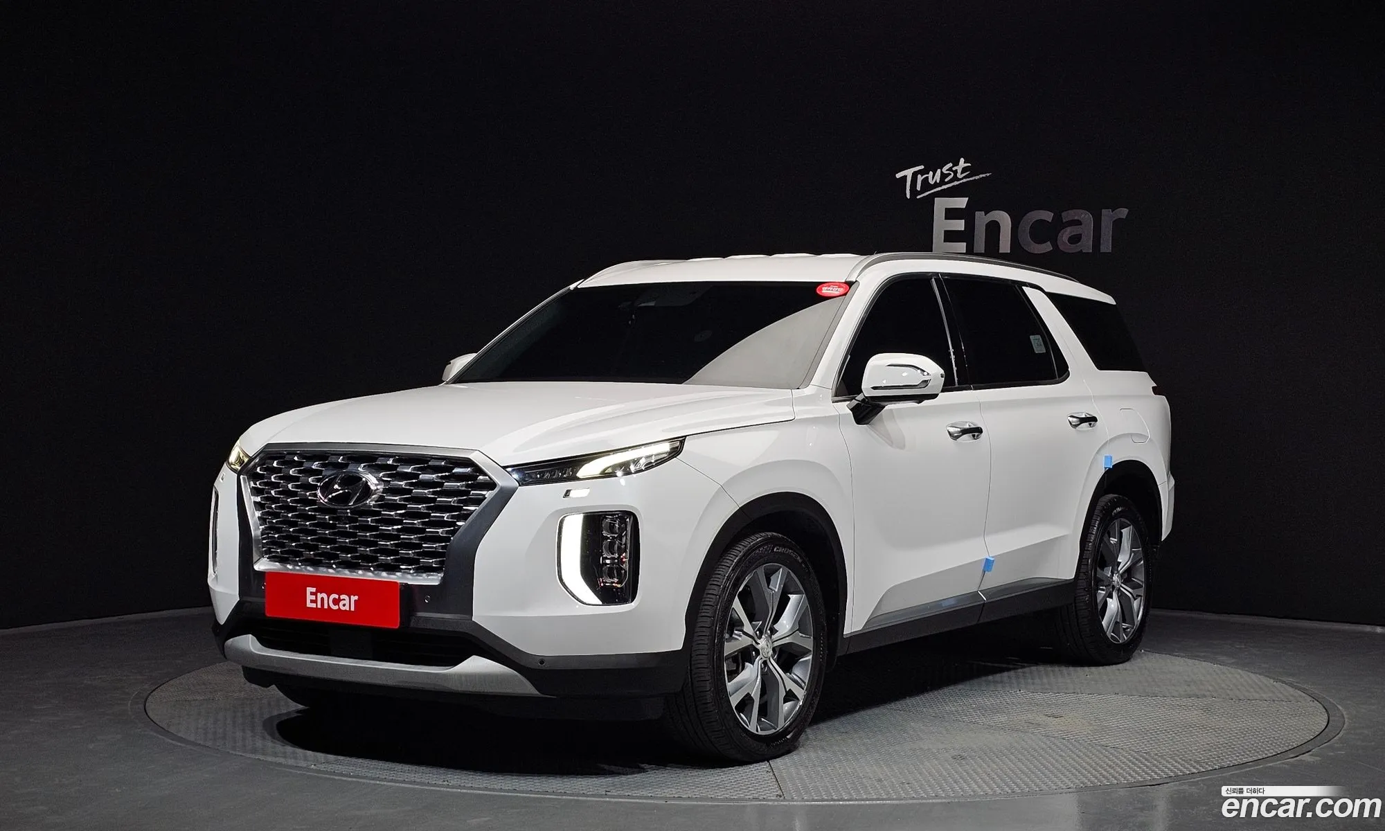 Hyundai Palisade 2020 — 13