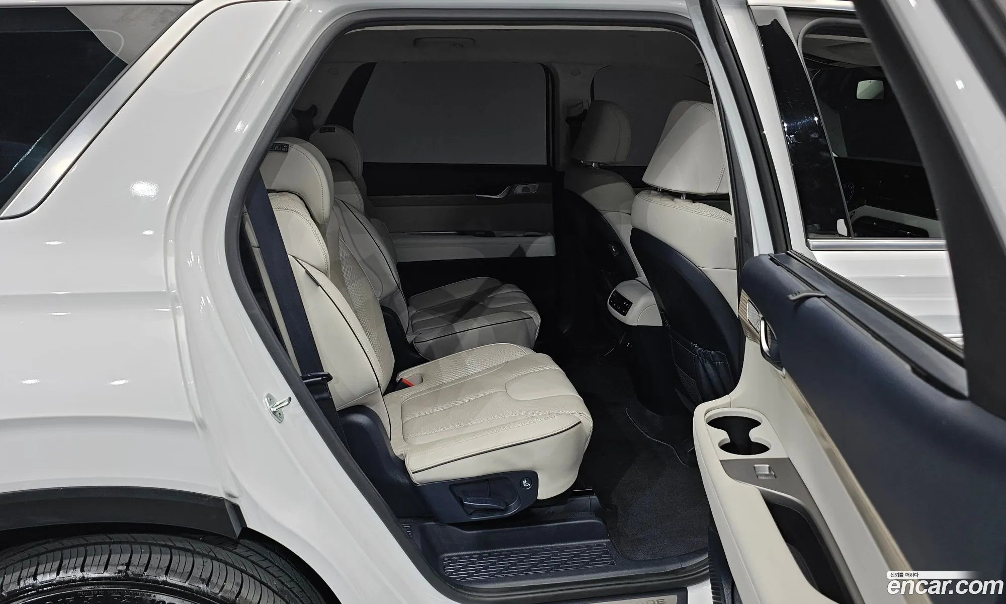 Hyundai Palisade 2020 — 2
