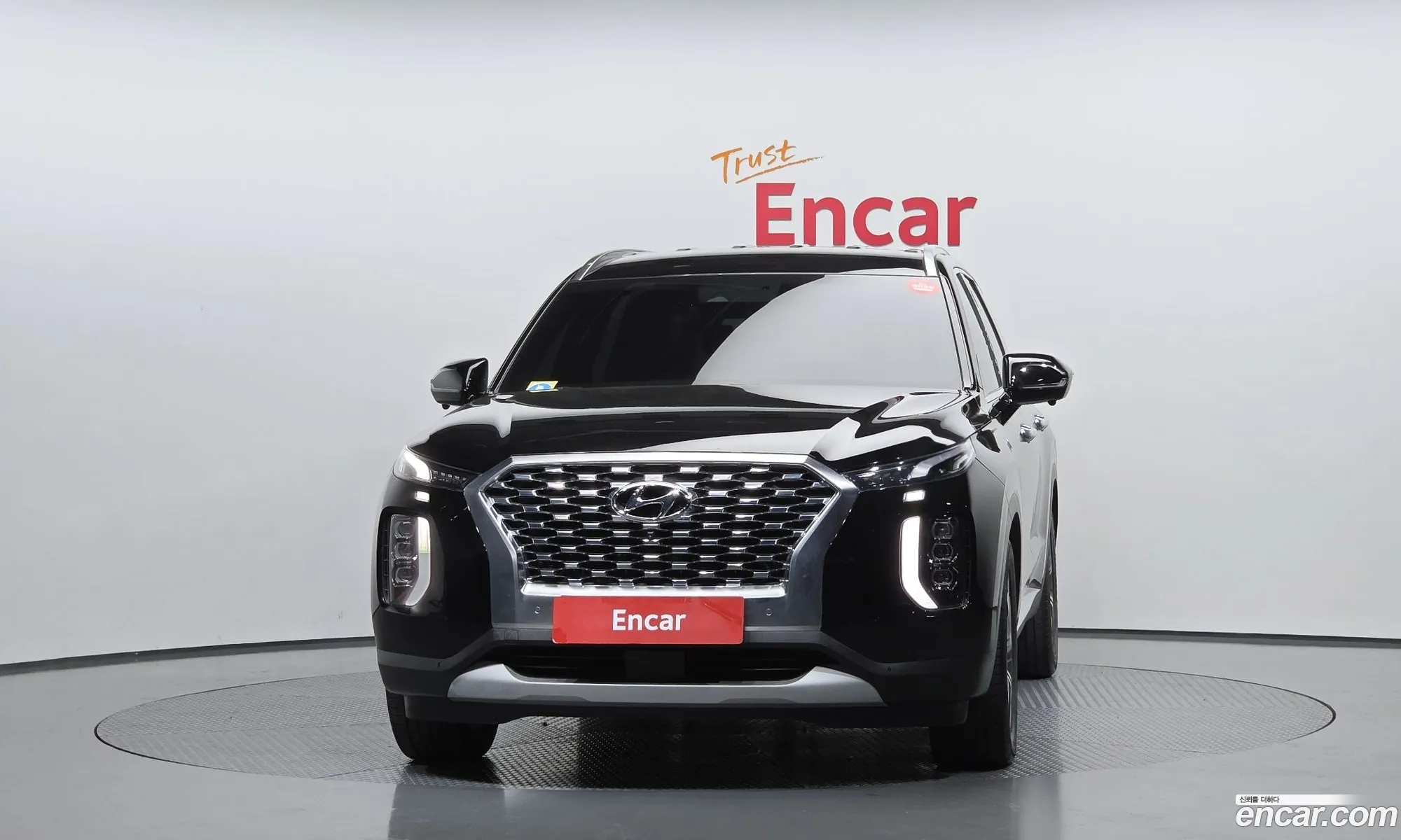 Hyundai Palisade 2019 — 17