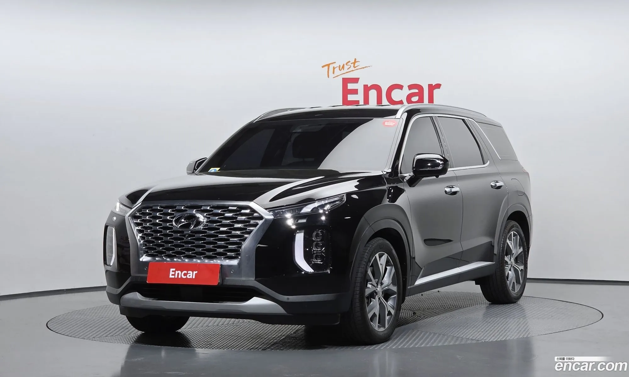 Hyundai Palisade 2019 — 25