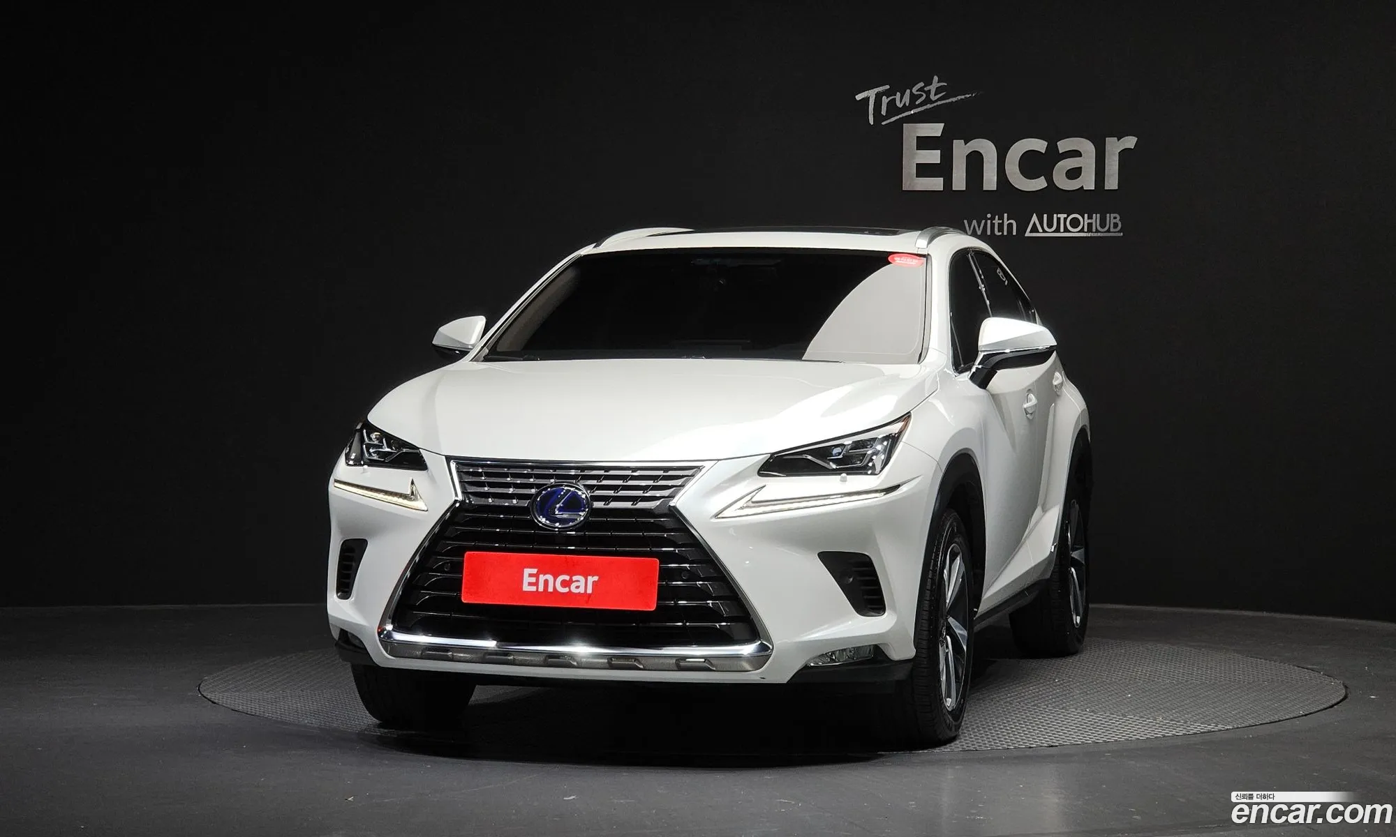 Lexus NX300h