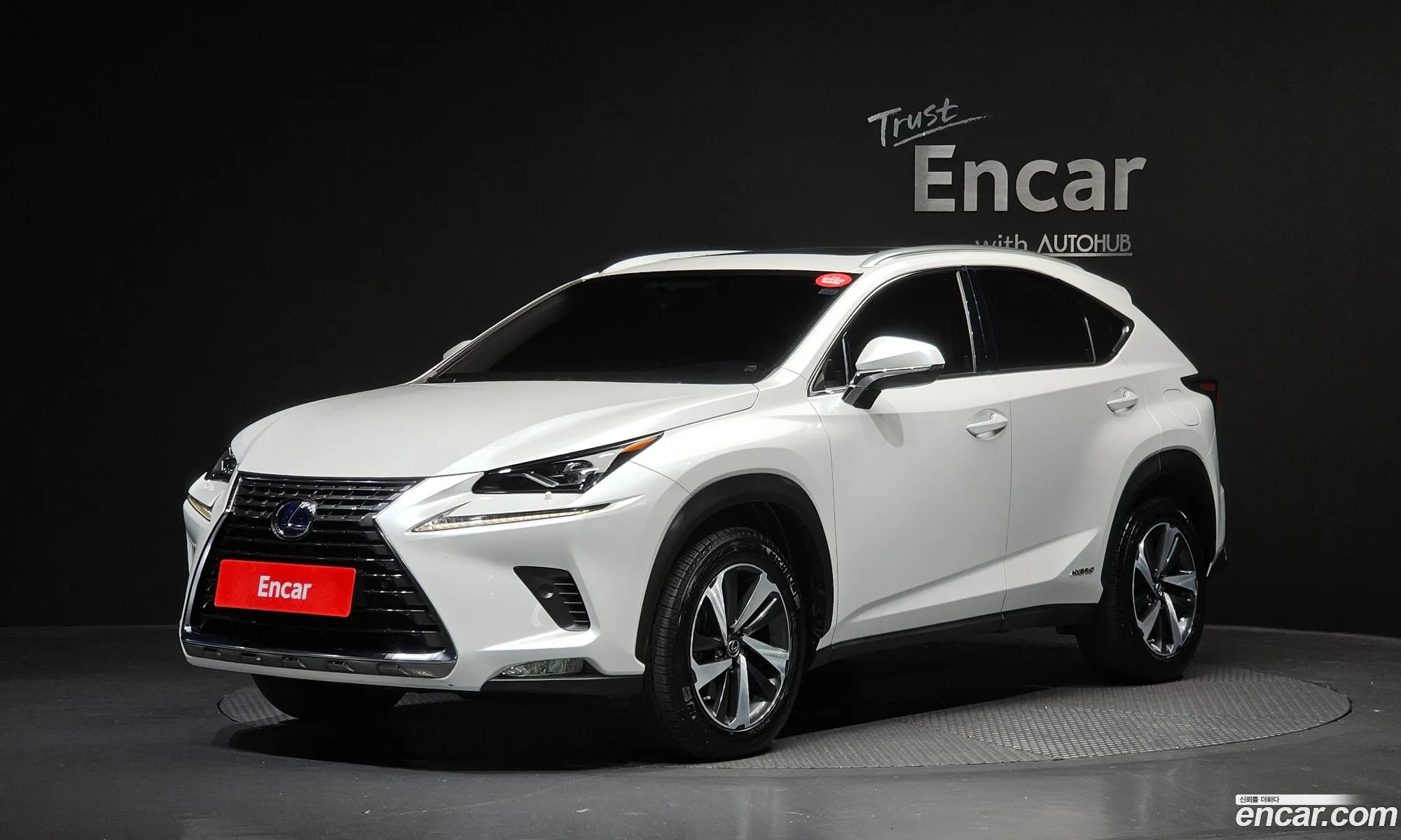 Lexus NX300h