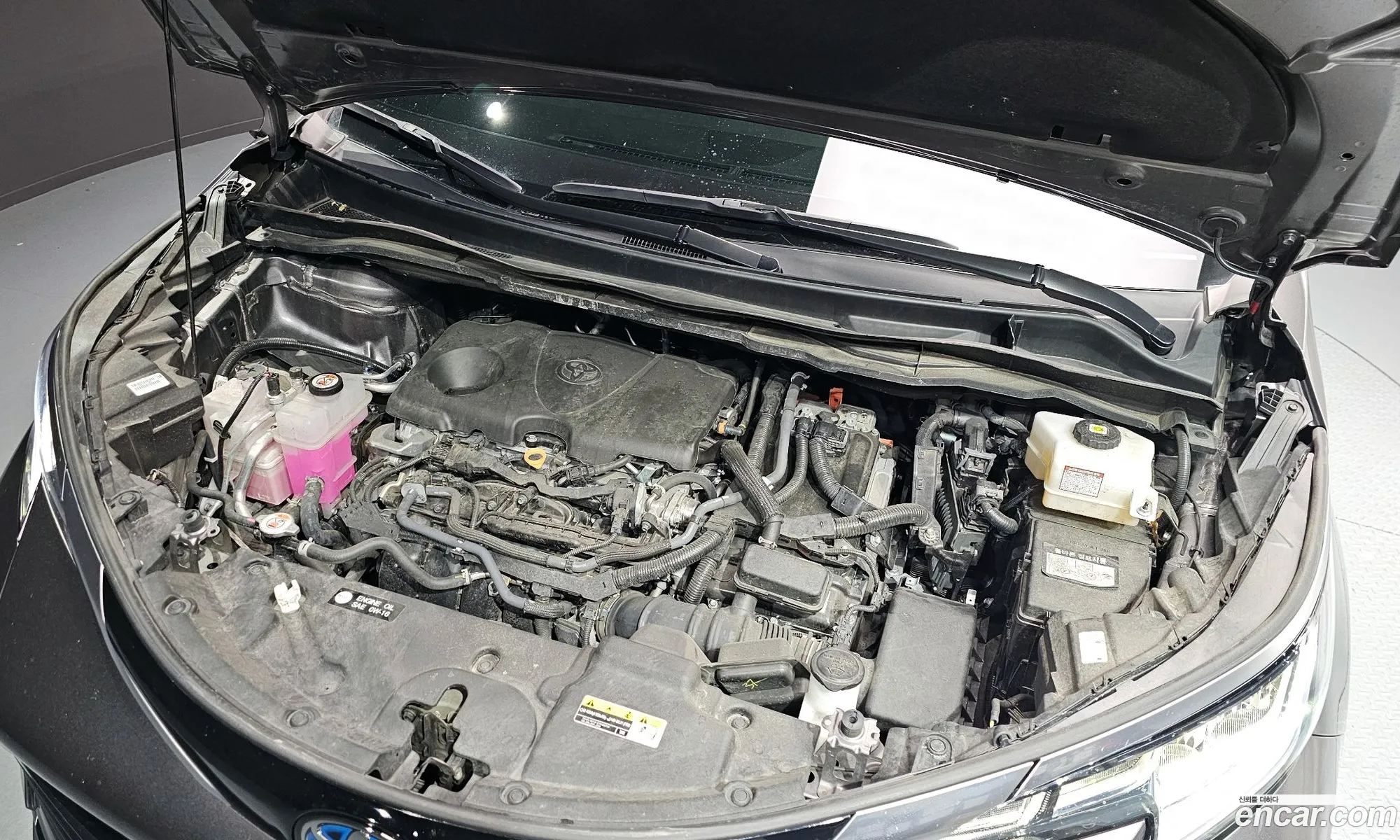 Toyota Sienna 2024 — 4