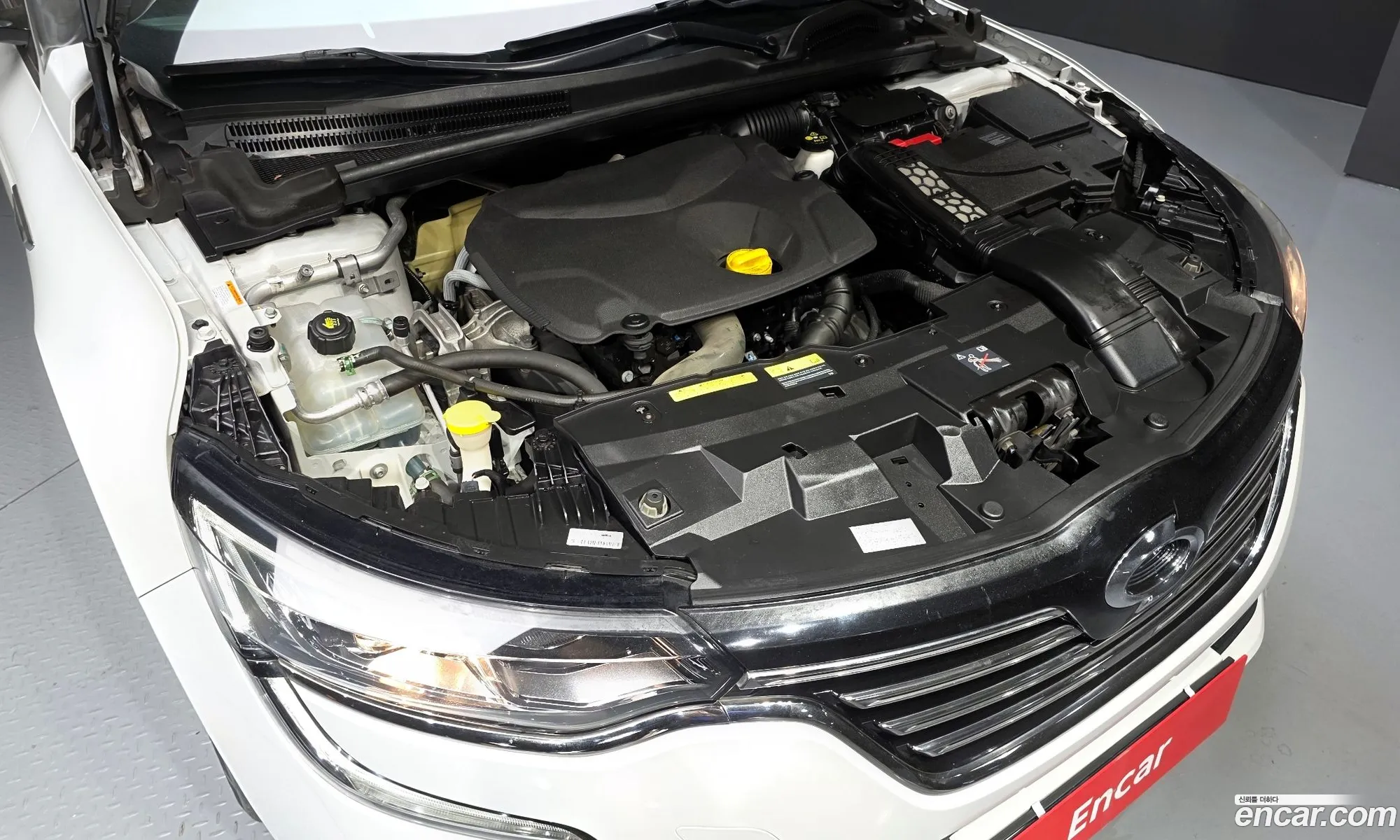 Renault Korea (Samsung) SM6 2017 — 16
