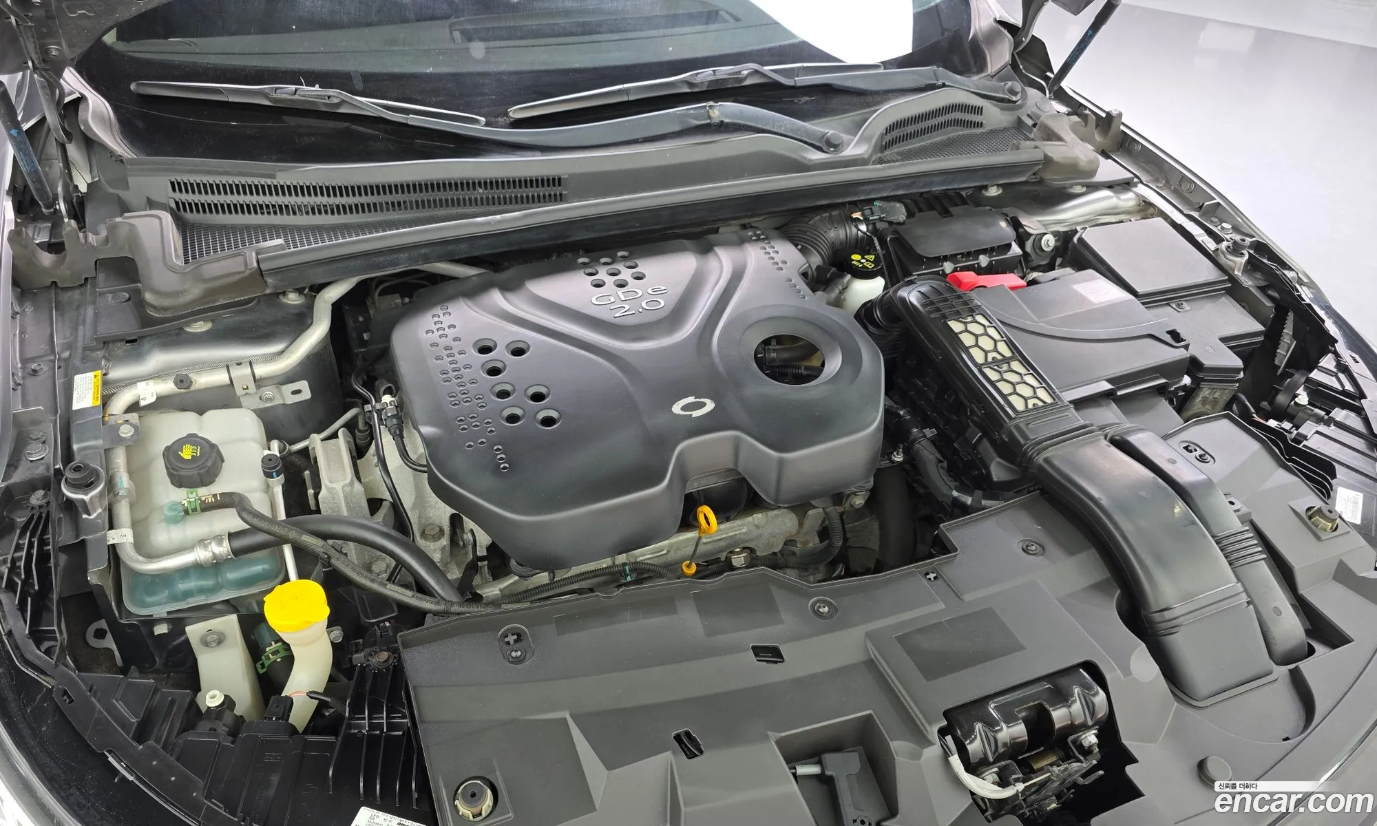 Renault Korea (Samsung) SM6 2016 — 4