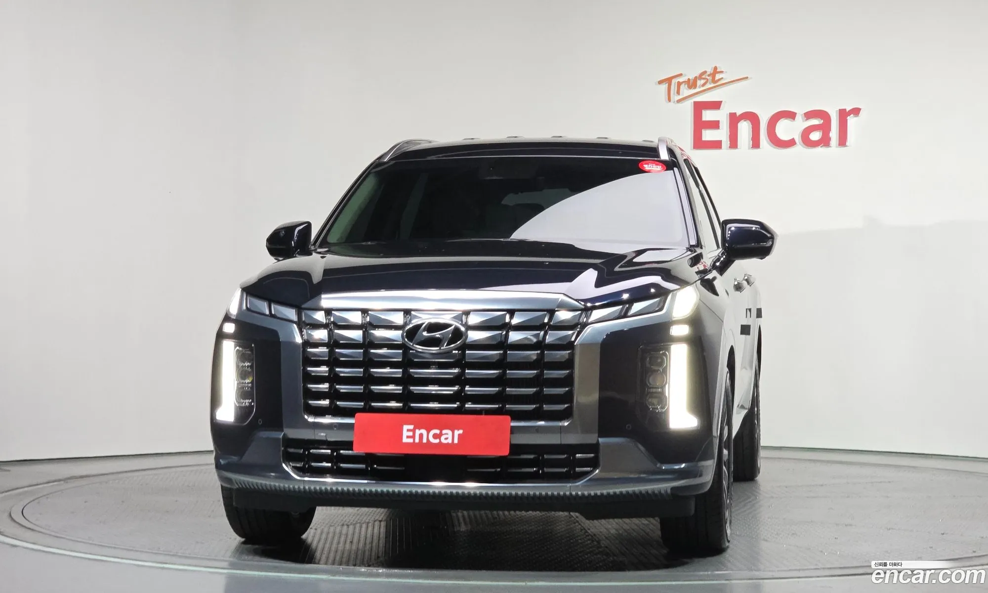 Hyundai Palisade 2024 — 26