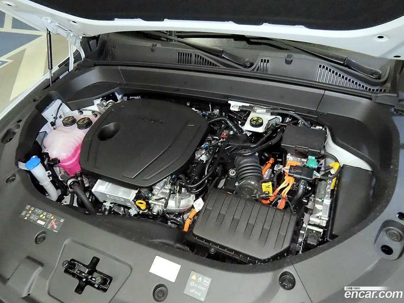 Renault Korea (Samsung) Grand Koleos 2026 — 4