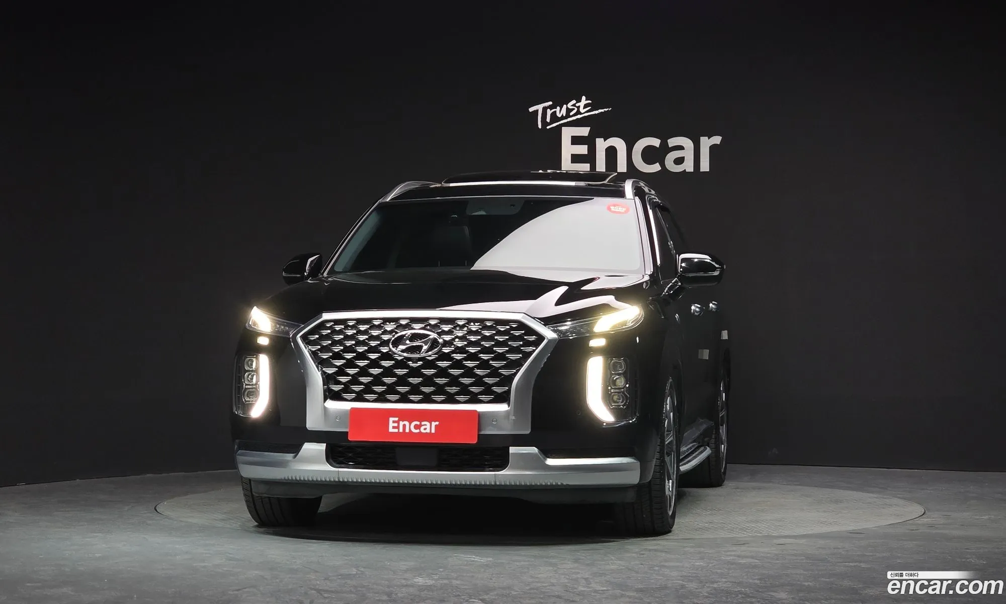 Hyundai Palisade 2020 — 15