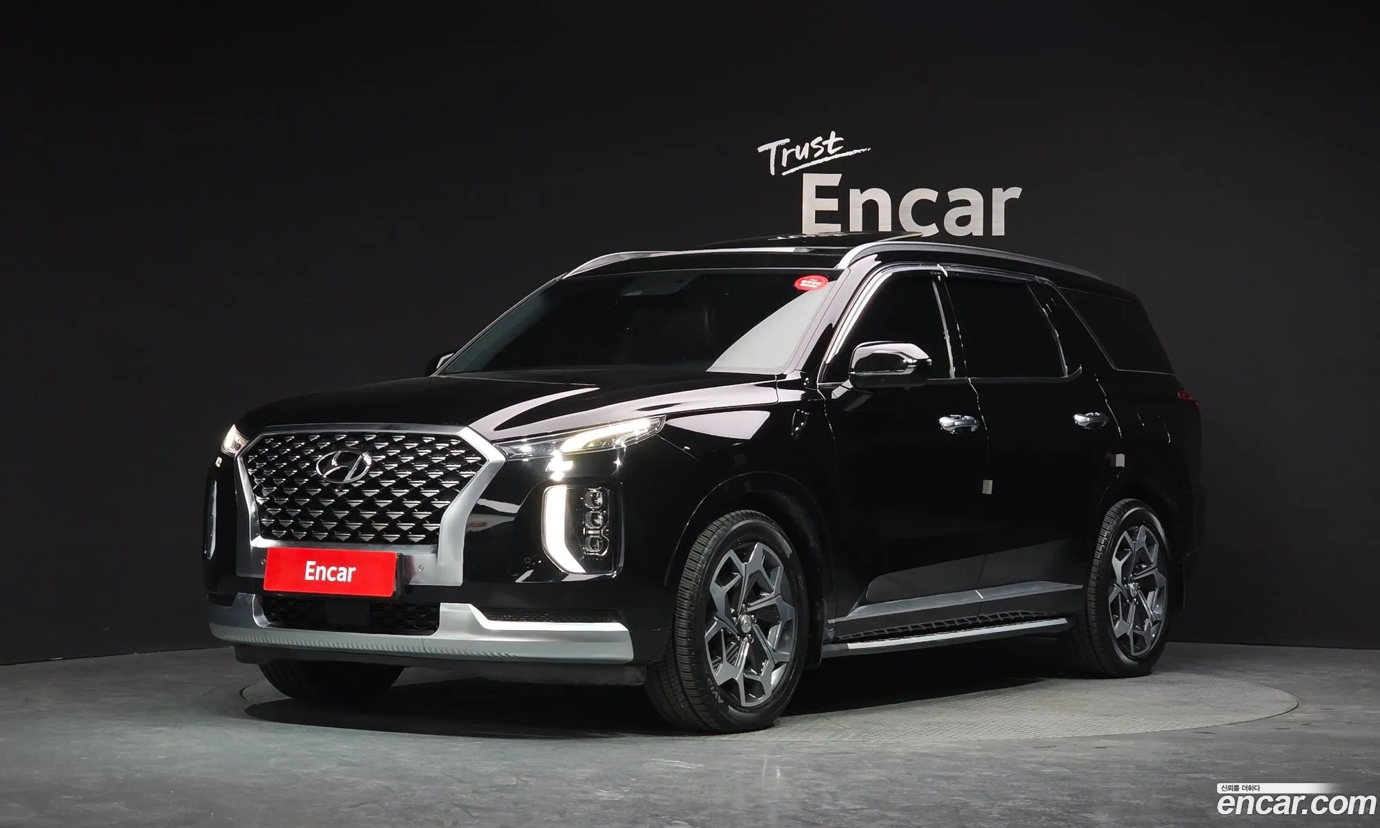 Hyundai Palisade 2020 — 20